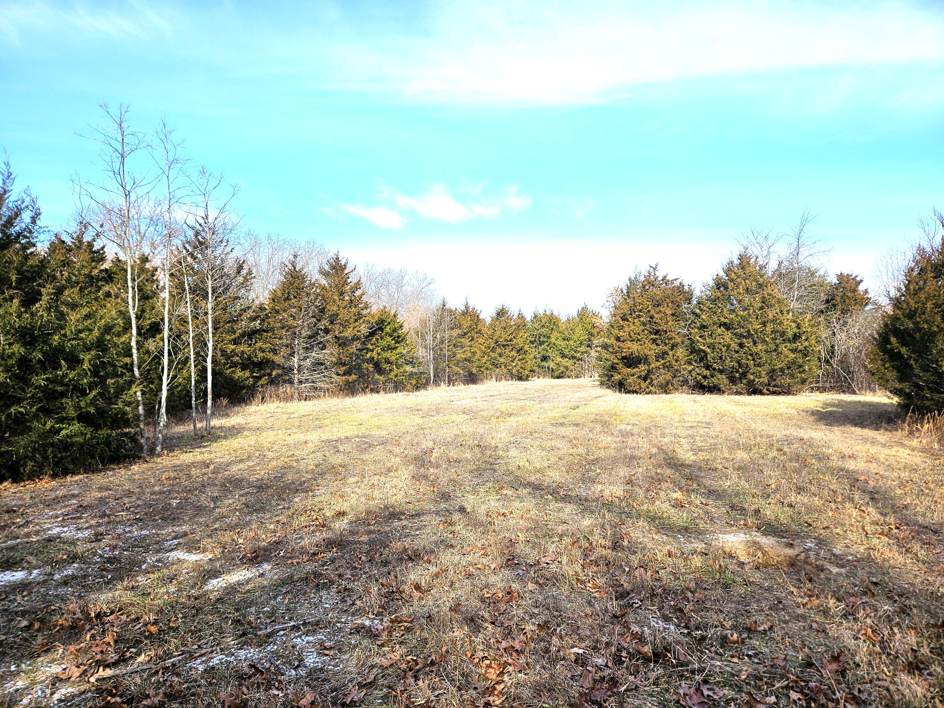 20519 State Highway H Property Photo 22