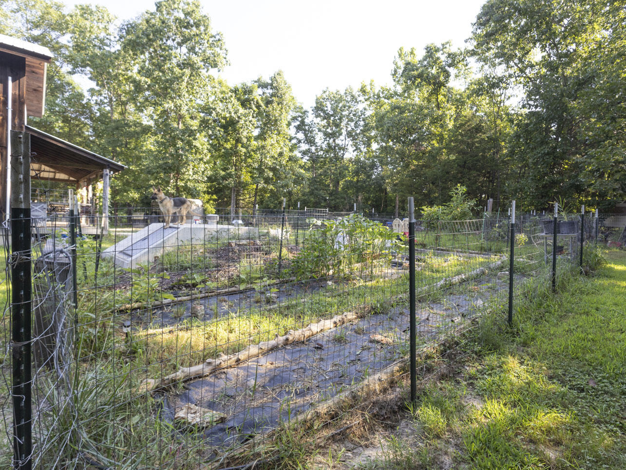 3191 State Hwy Dd Property Photo 37
