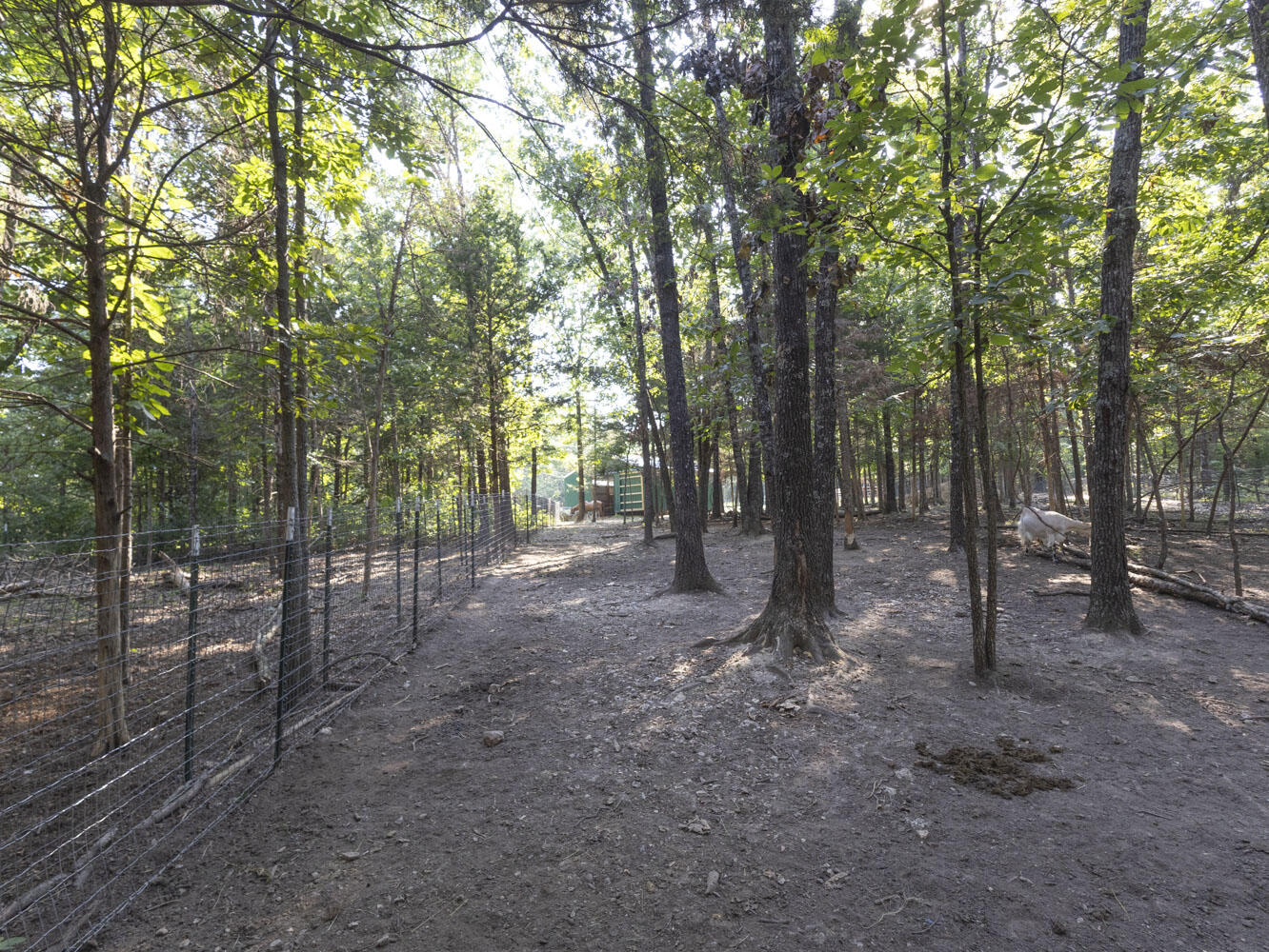 3191 State Hwy Dd Property Photo 45
