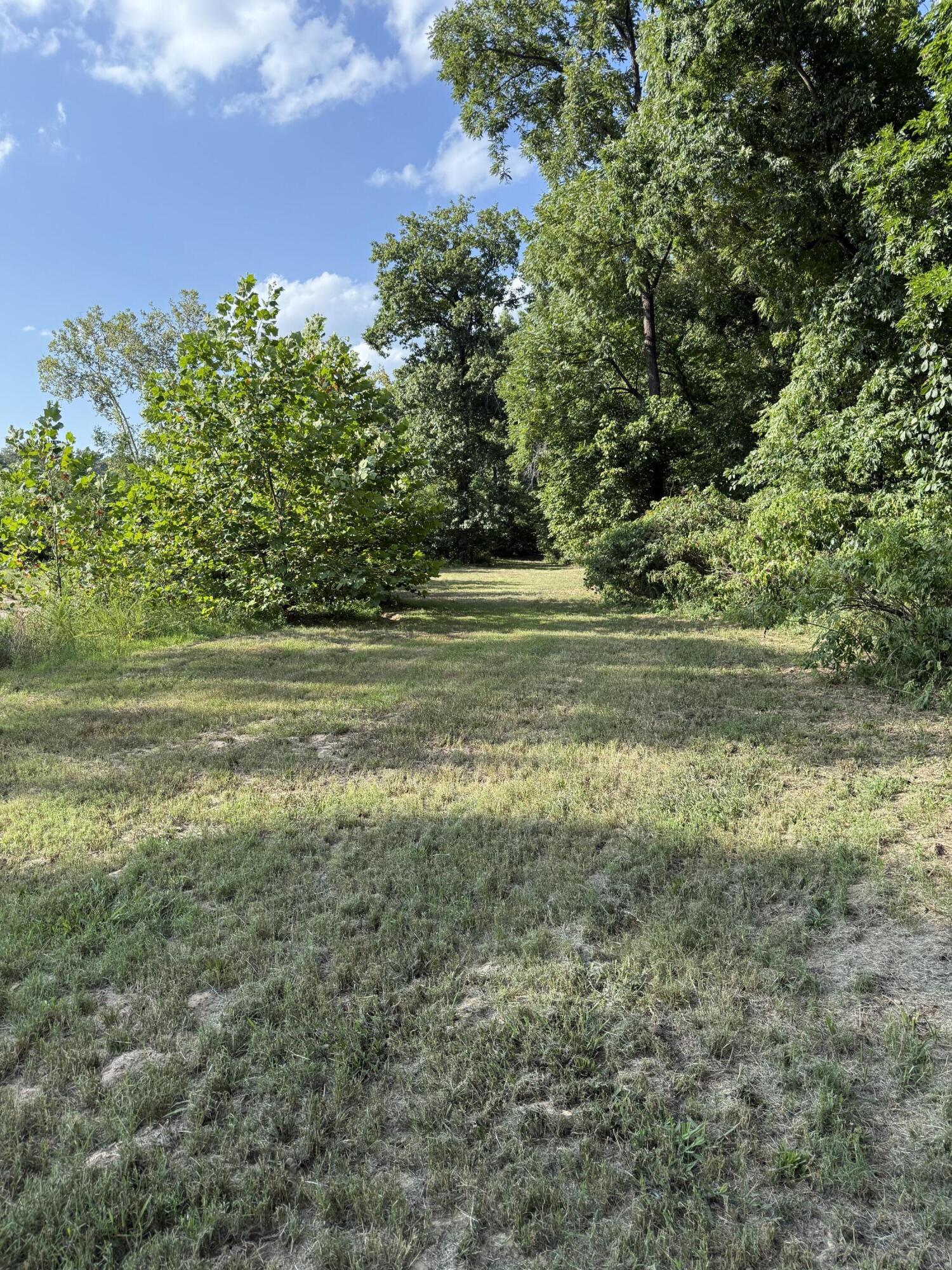 1597 State Highway Pp Property Photo 6
