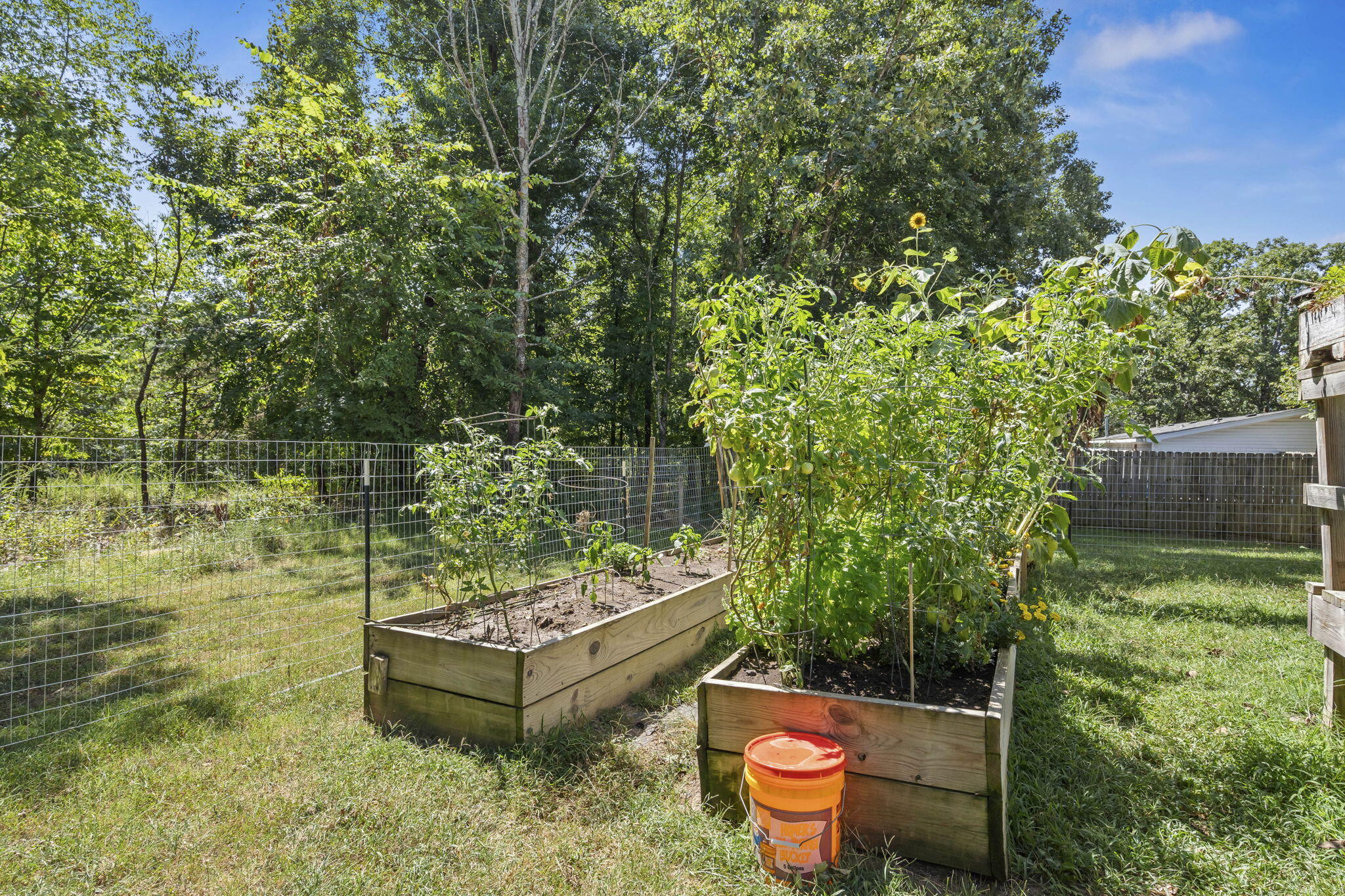 24 Dorsett Lane Property Photo 27