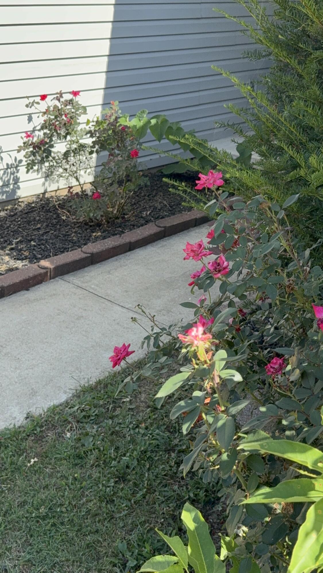 4136 Somerset Drive Property Photo 3