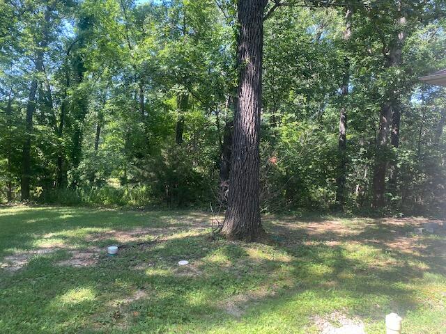 54 Buckskin Drive Property Photo 4