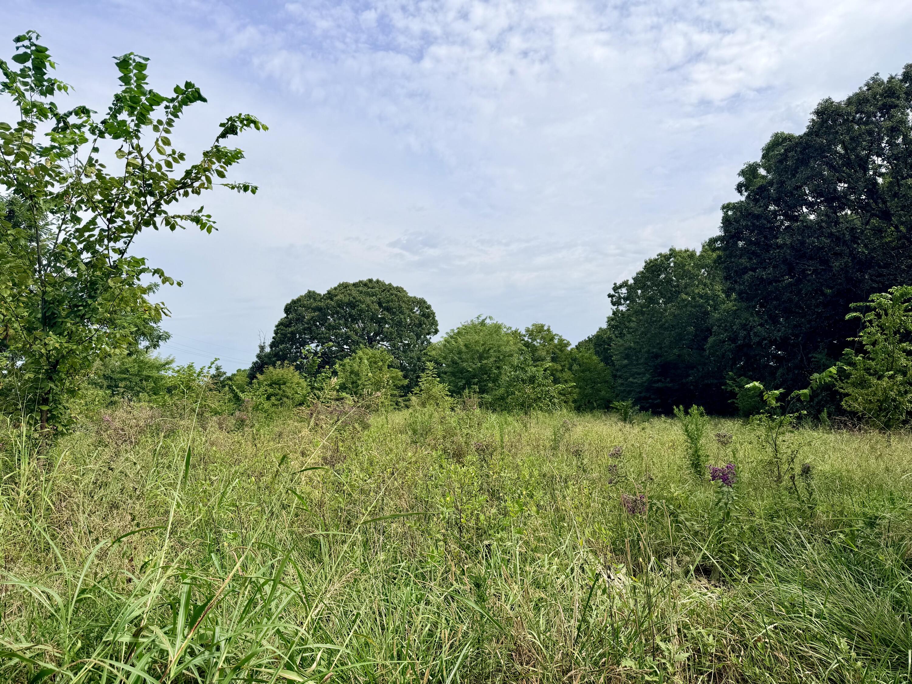 178 State Highway 39 Property Photo 4