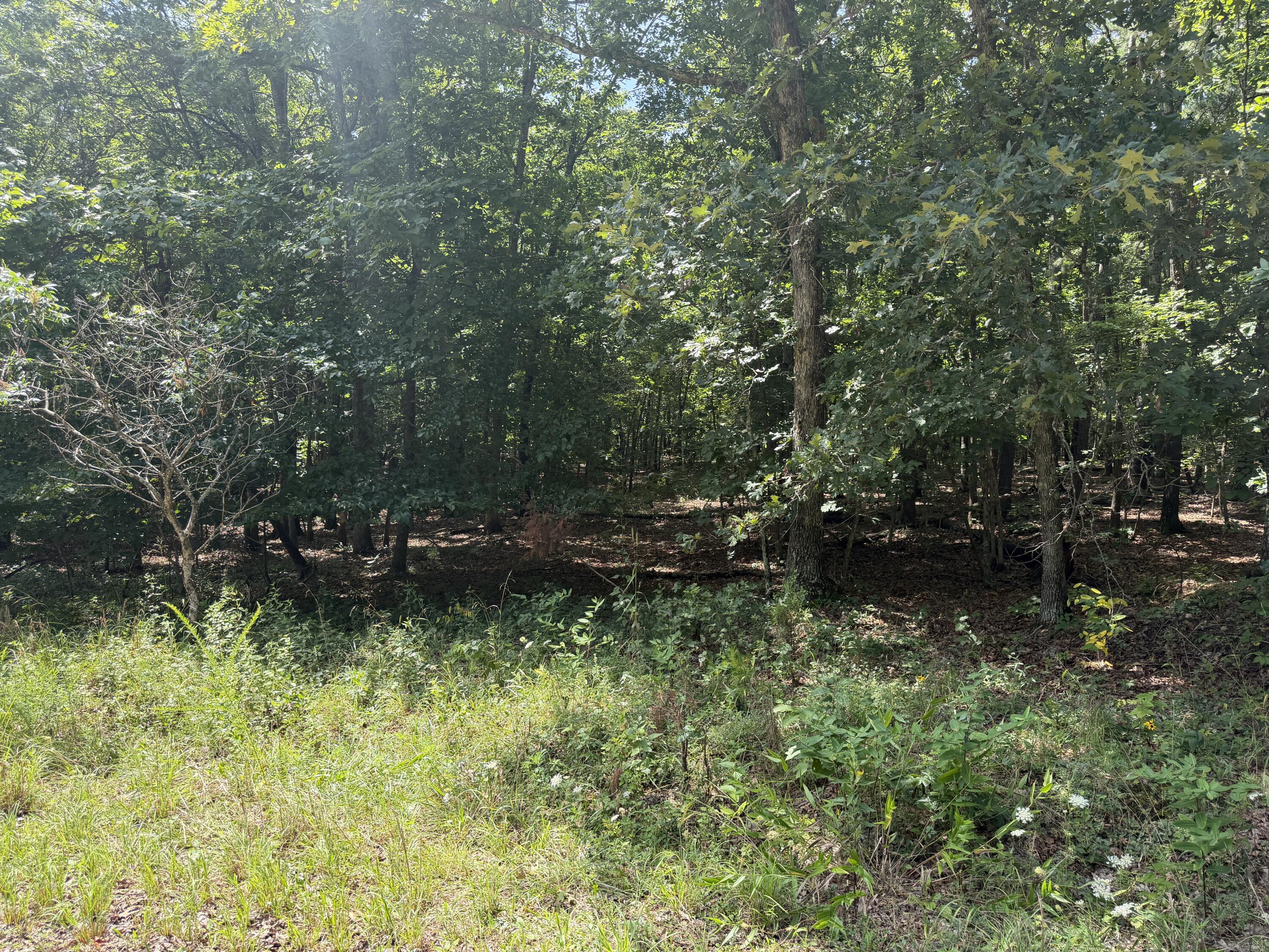 000 Golden Trail Lot 79 Property Photo 3