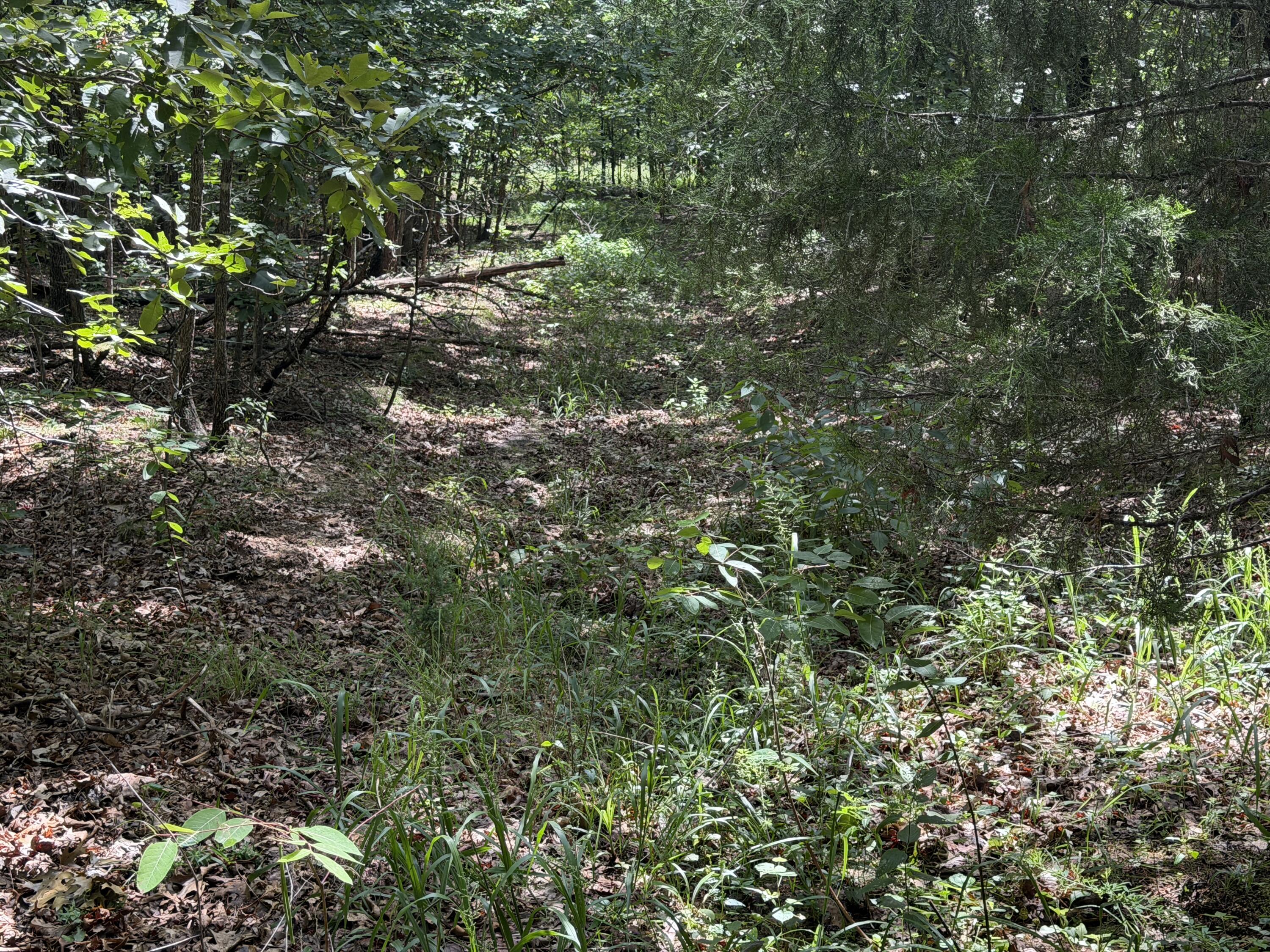 000 Golden Trail Lot 79 Property Photo 4