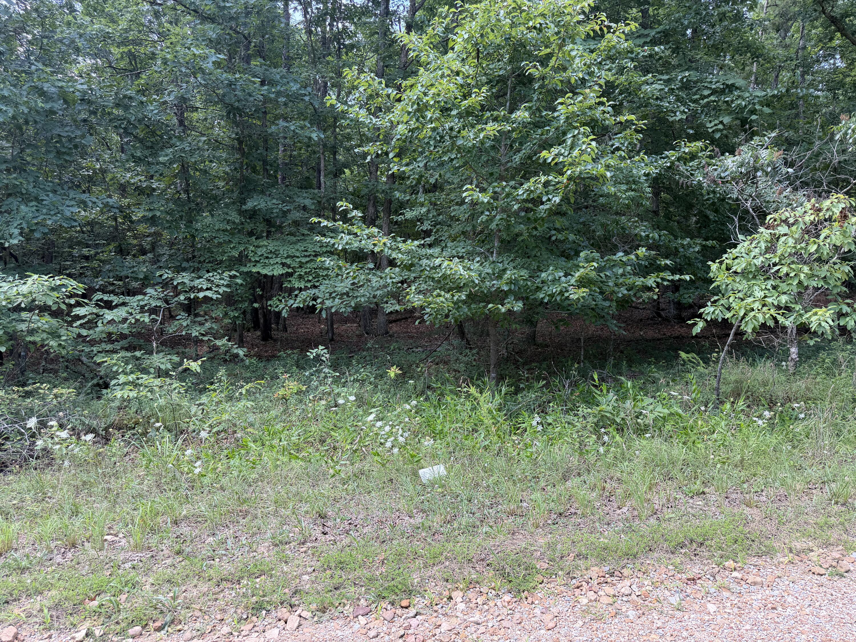 000 Golden Trail Lot 79 Property Photo 6