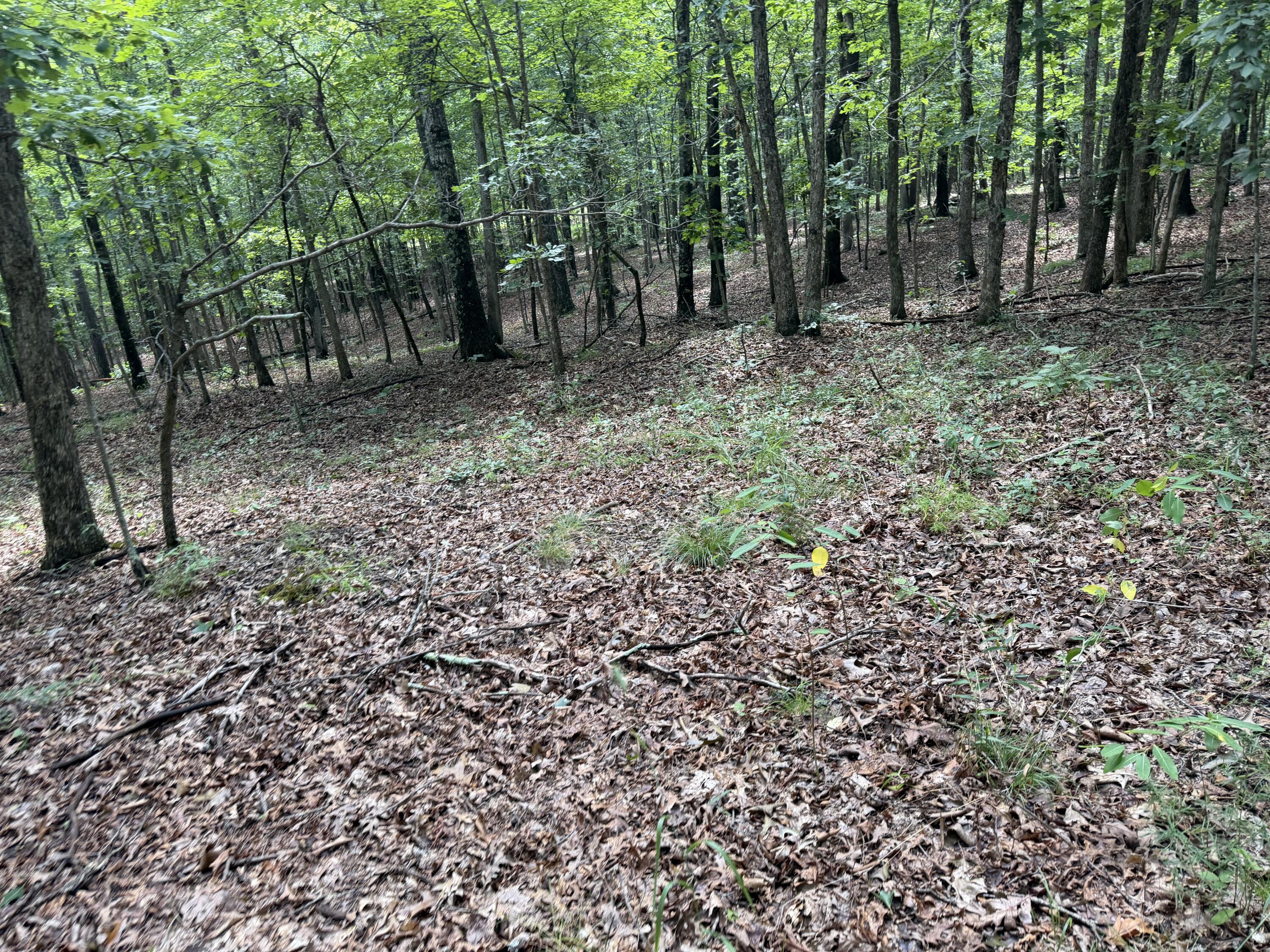 000 Golden Trail Lot 79 Property Photo 9