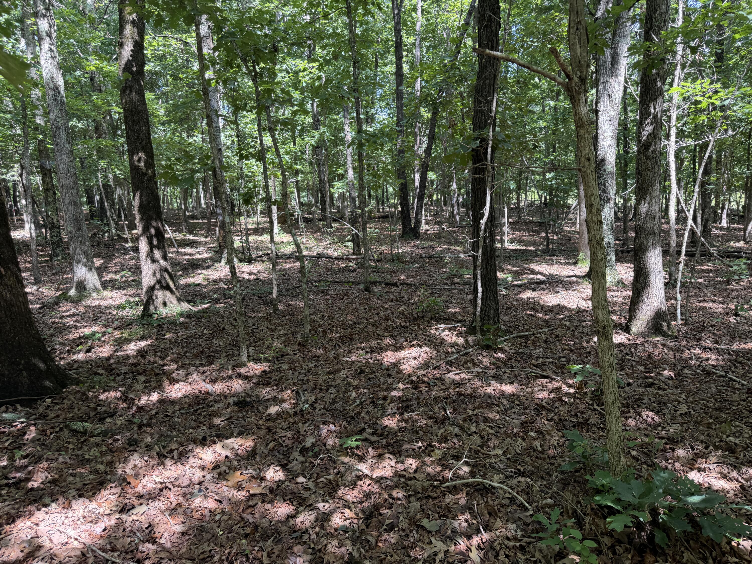 000 Golden Trail Lot 79 Property Photo 16
