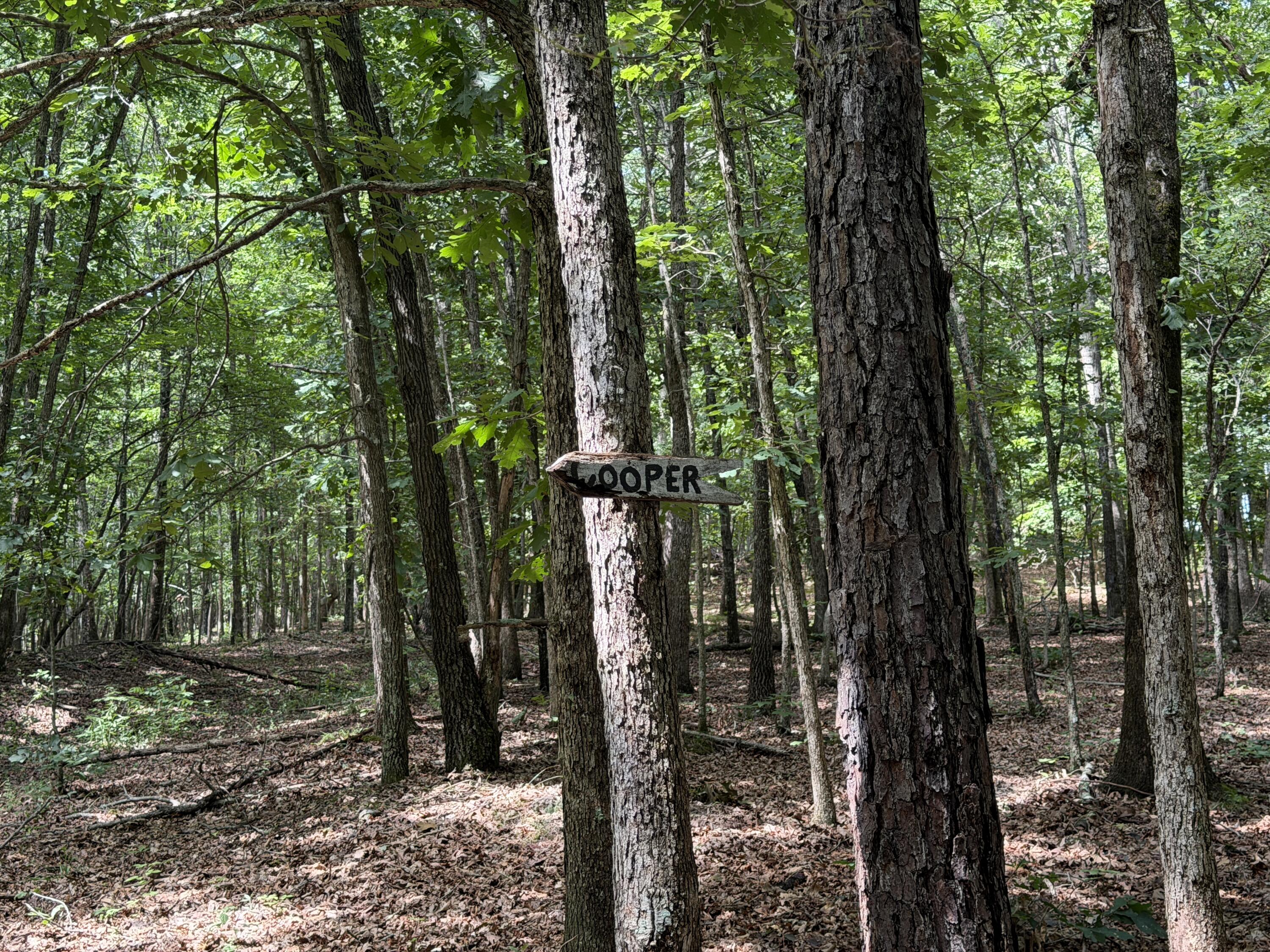 000 Golden Trail Lot 79 Property Photo 17