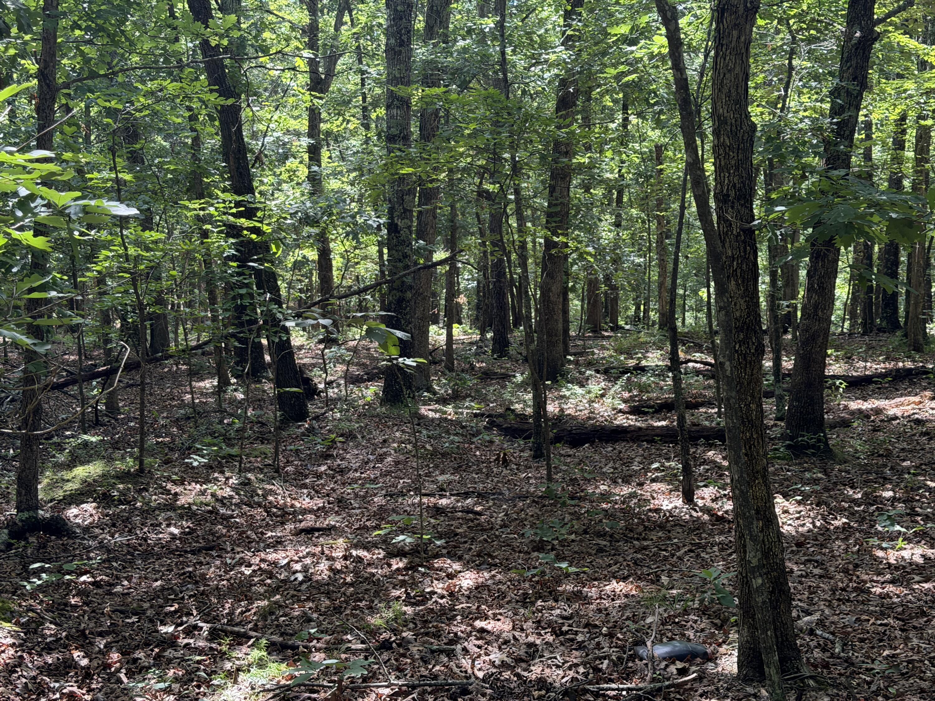 000 Golden Trail Lot 79 Property Photo 19