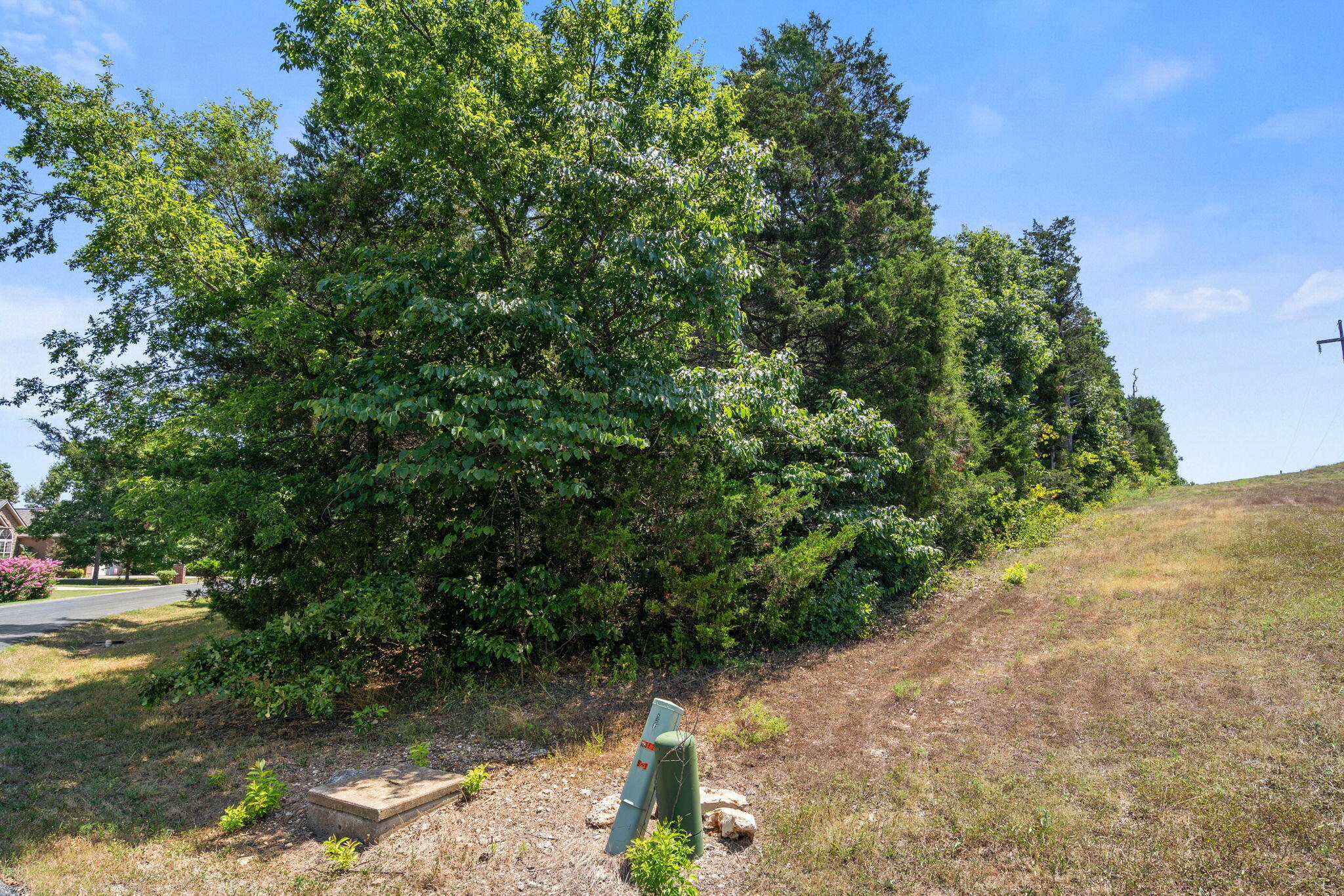 Lot 30 Crossing Drive Property Photo 5