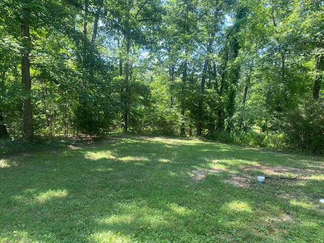 54 Buckskin Drive Property Photo 1