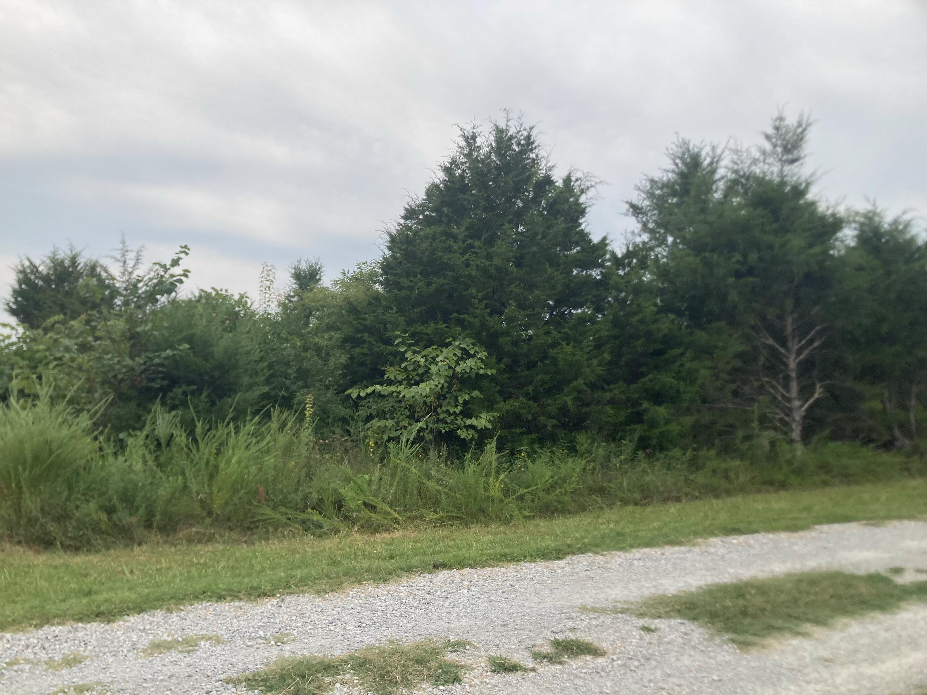 000 Reid Drive Property Photo 1