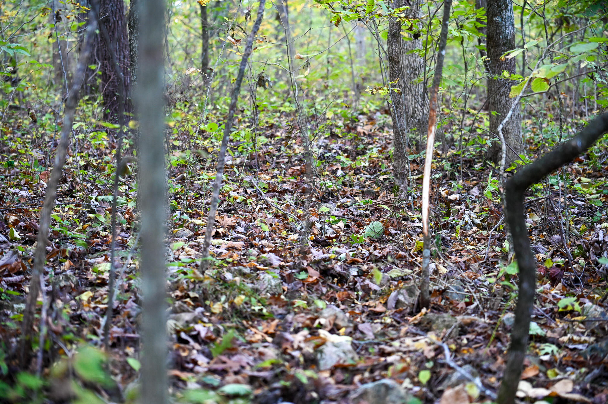 21395 Southeast 2124 Road Property Photo 29