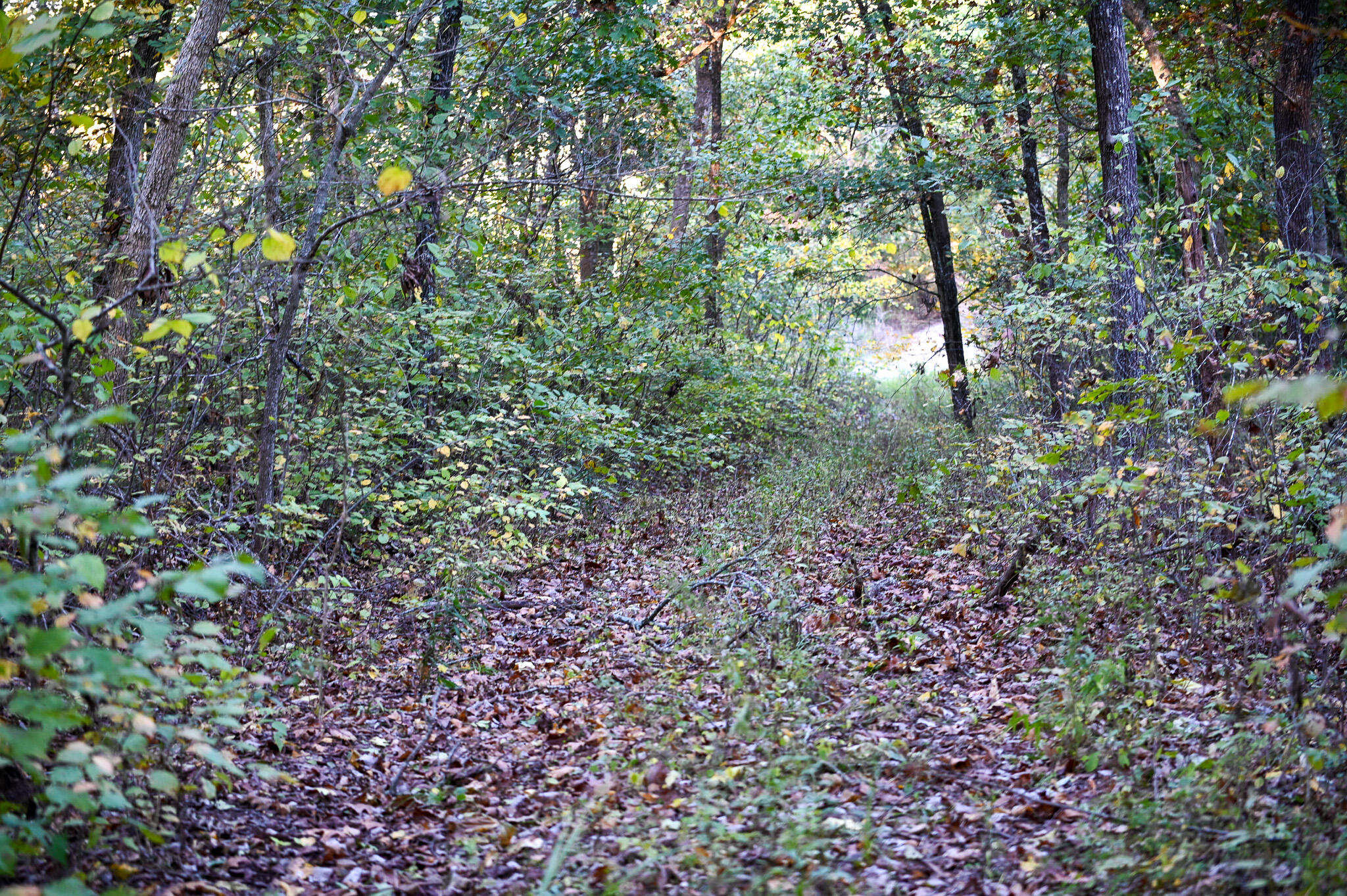 21395 Southeast 2124 Road Property Photo 32