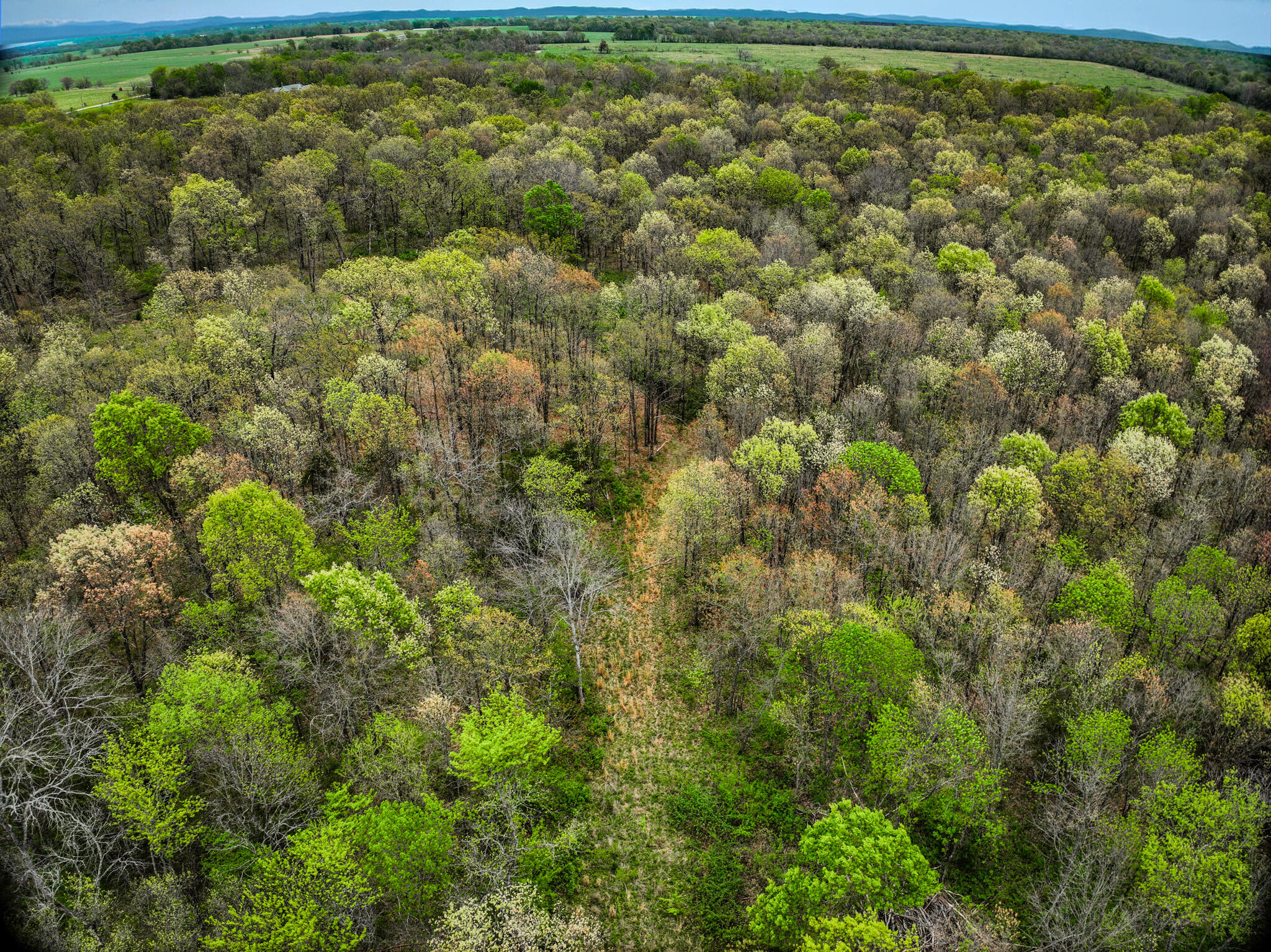Lot 2 South 725 Road Property Photo 16