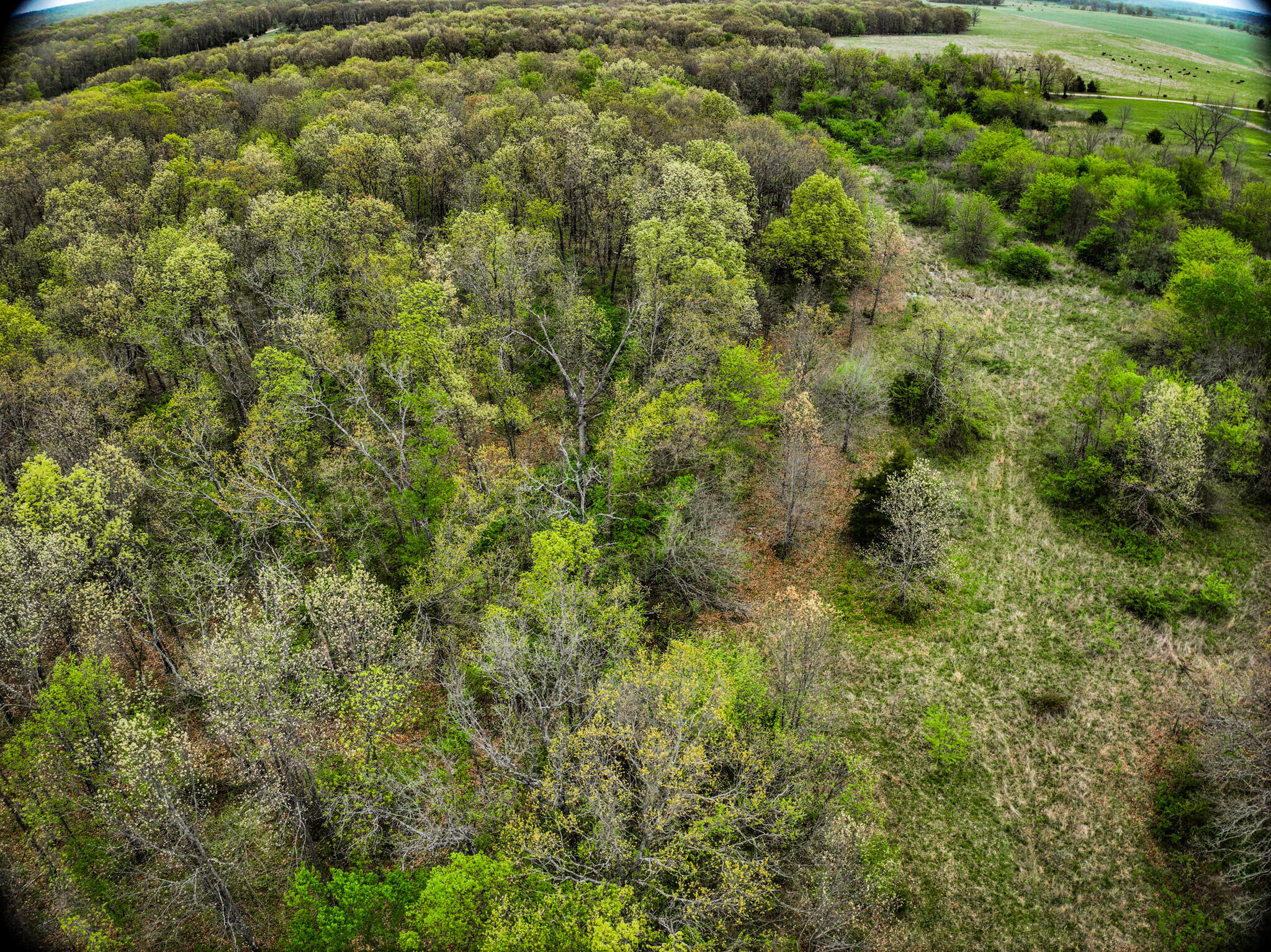 Lot 2 South 725 Road Property Photo 19