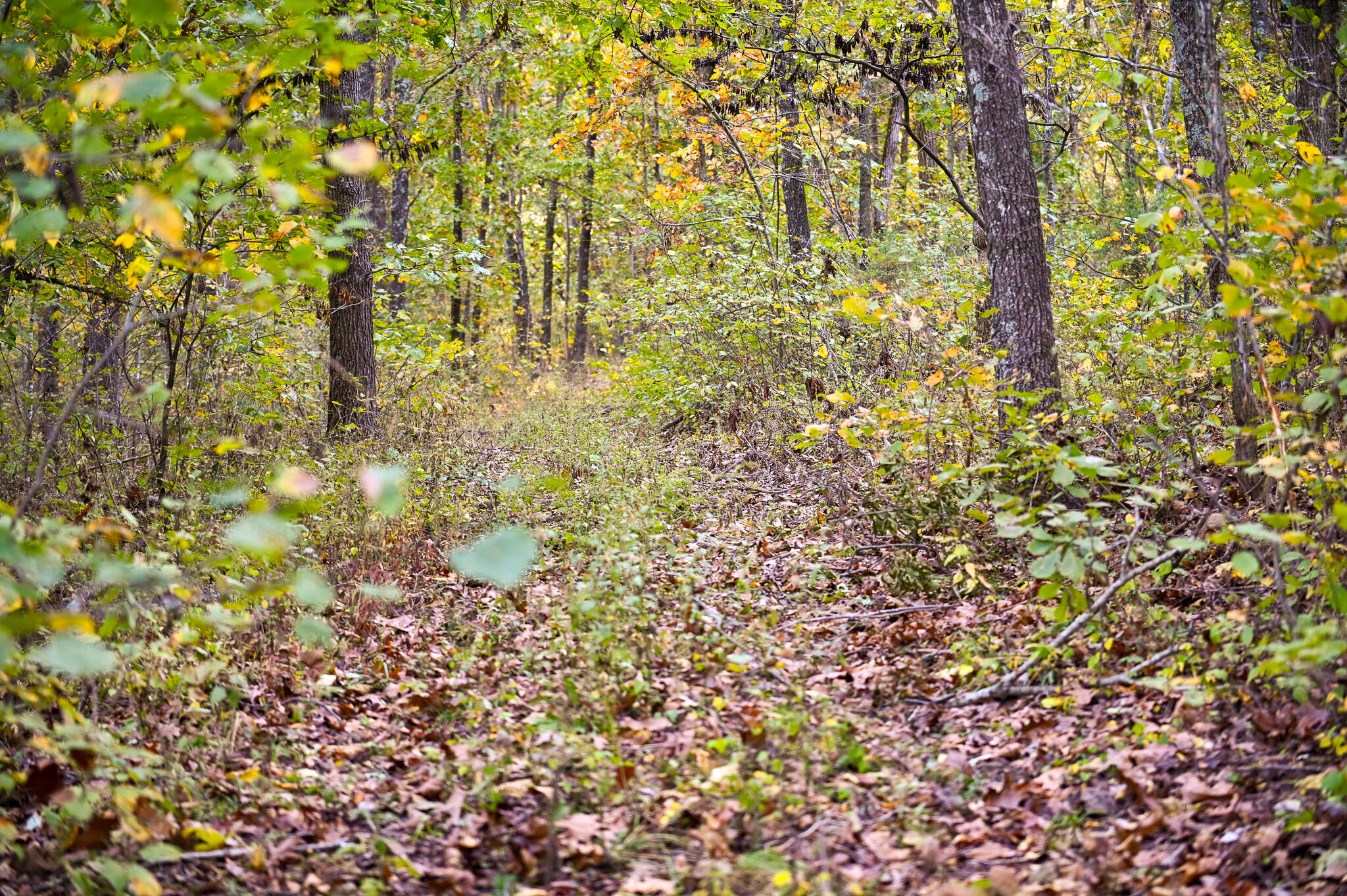 Lot 2 South 725 Road Property Photo 33
