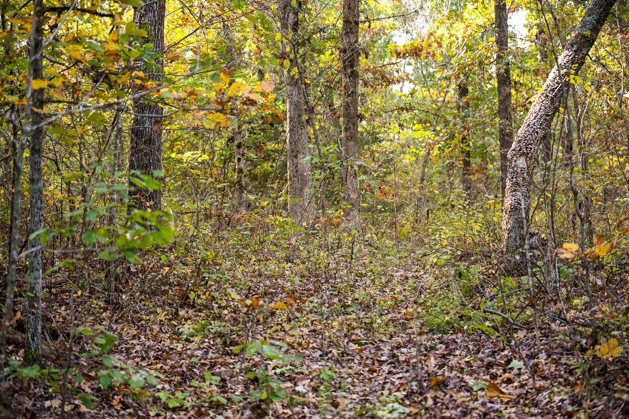 Lot 2 South 725 Road Property Photo 45