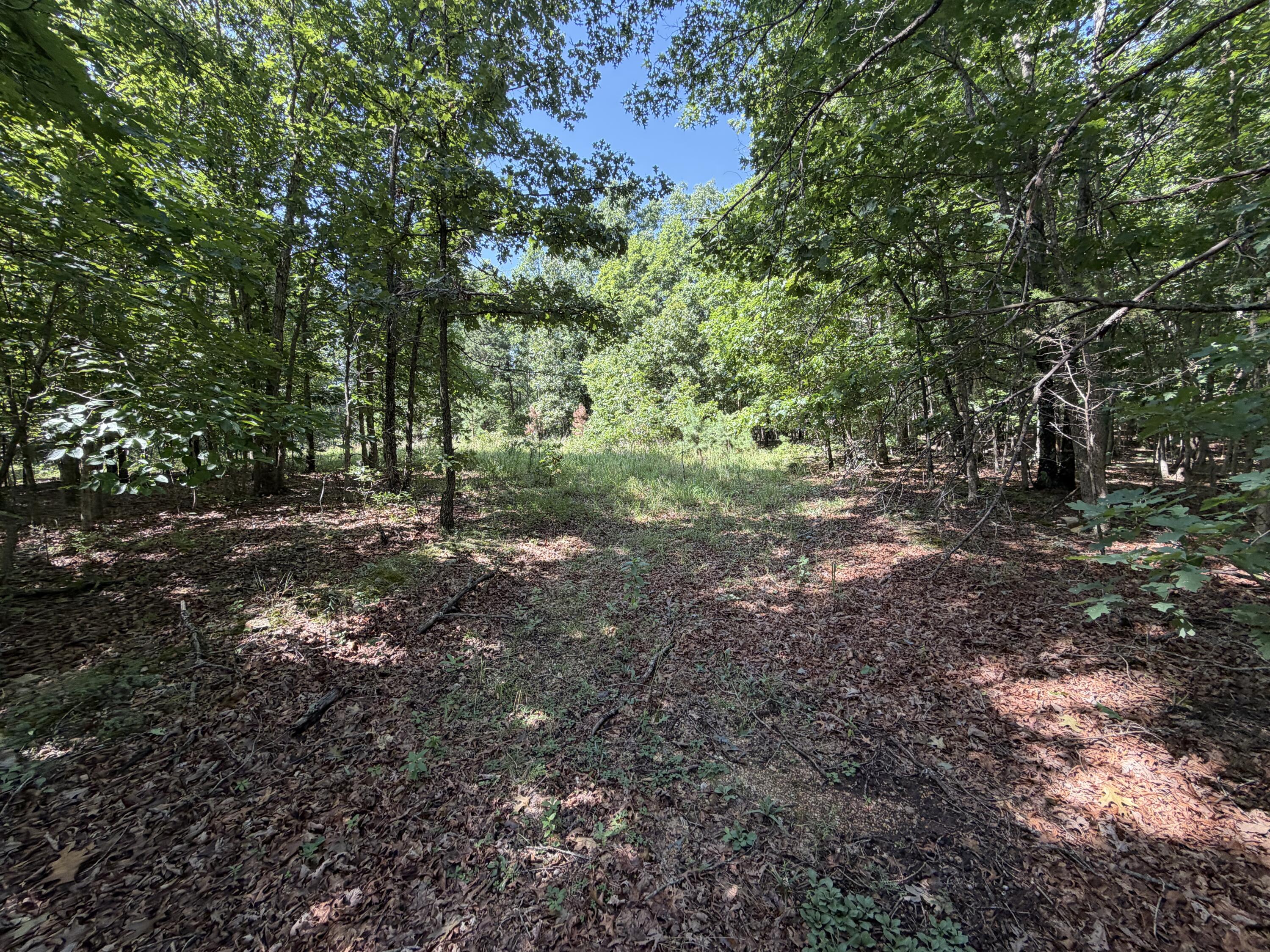 000 Golden Trail 77 Property Photo 1