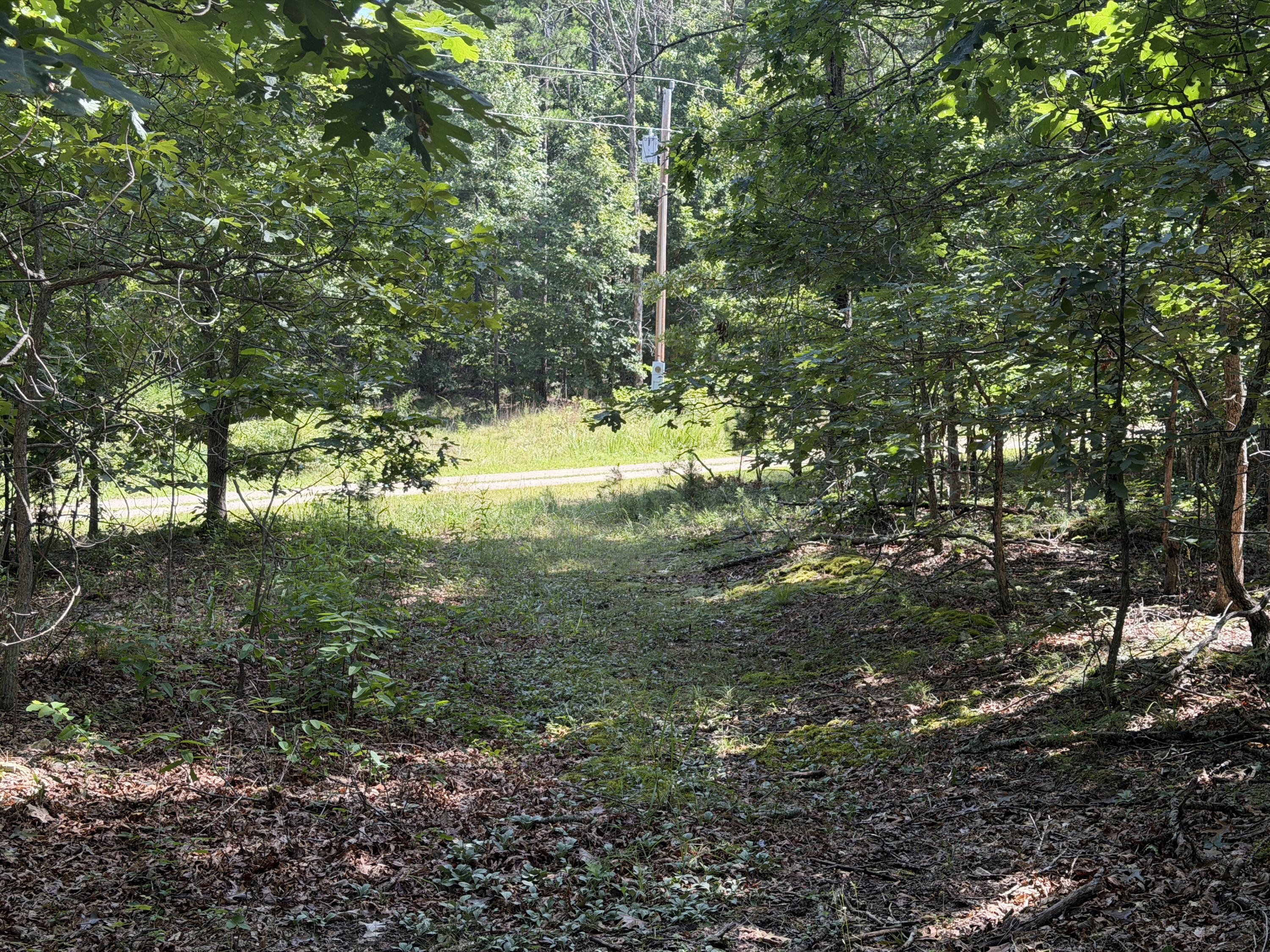 000 Golden Trail 77 Property Photo 2