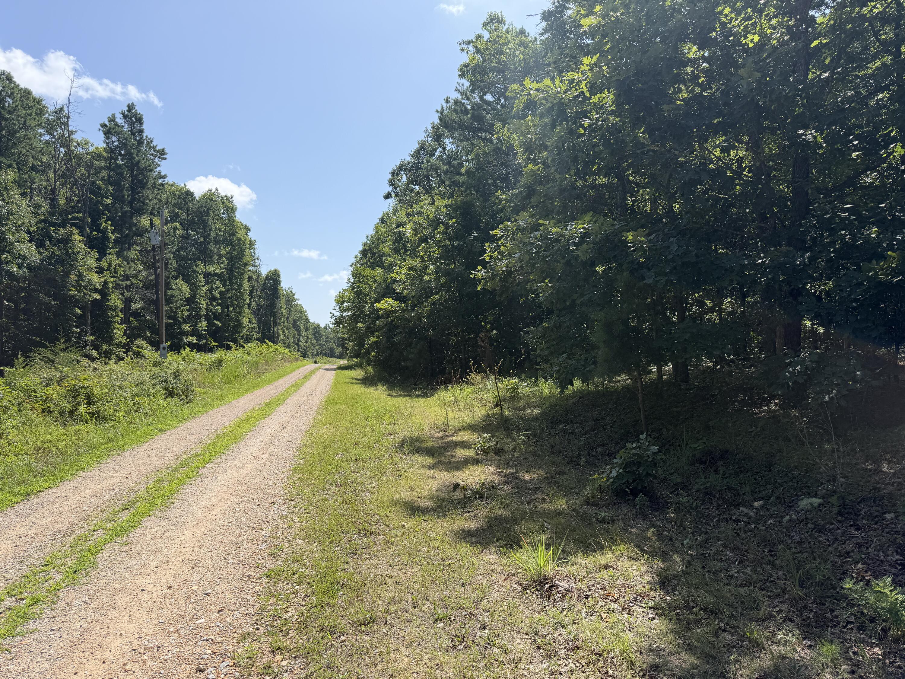 000 Golden Trail 77 Property Photo 4