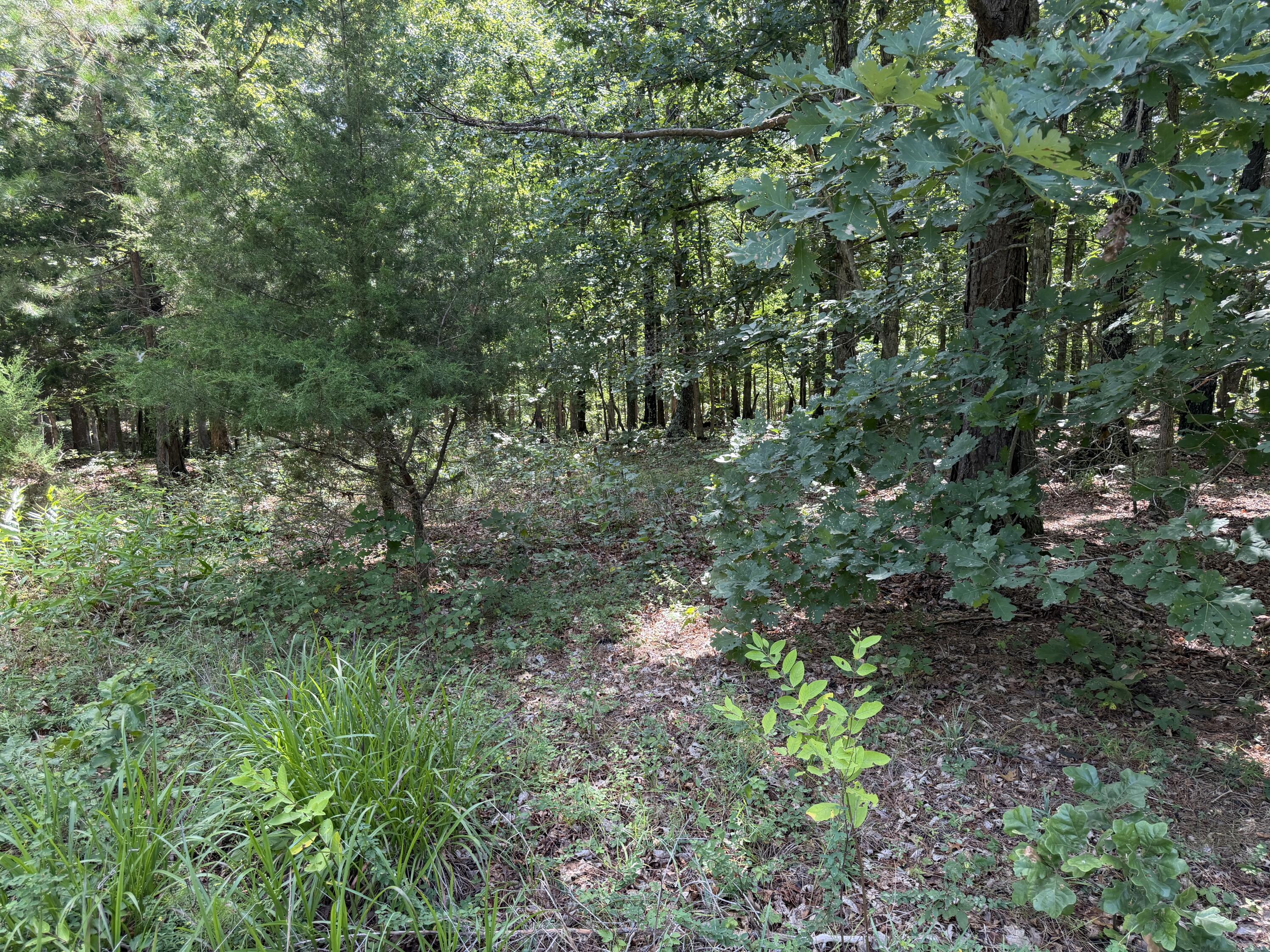 000 Golden Trail 77 Property Photo 8