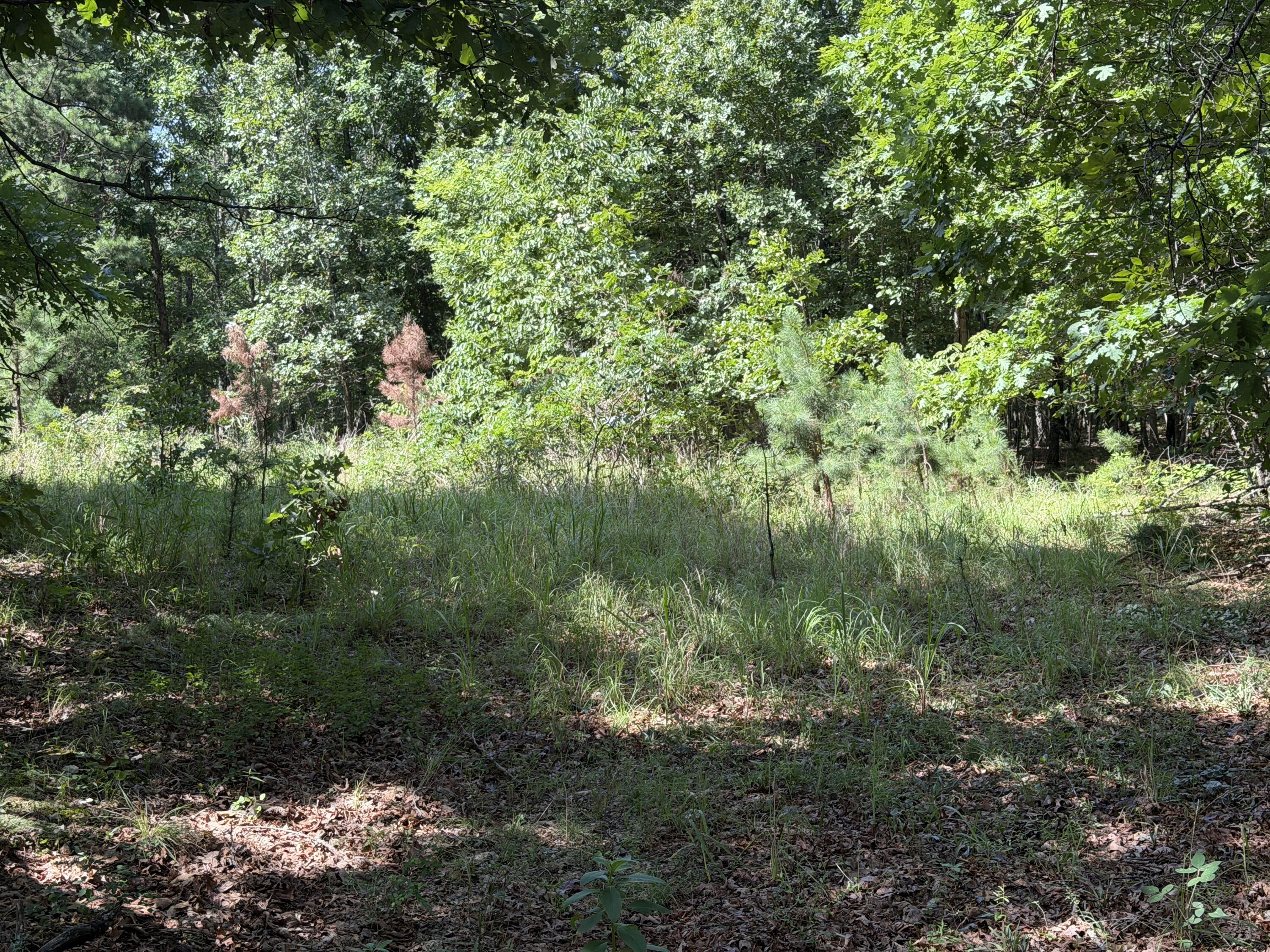 000 Golden Trail 77 Property Photo 10