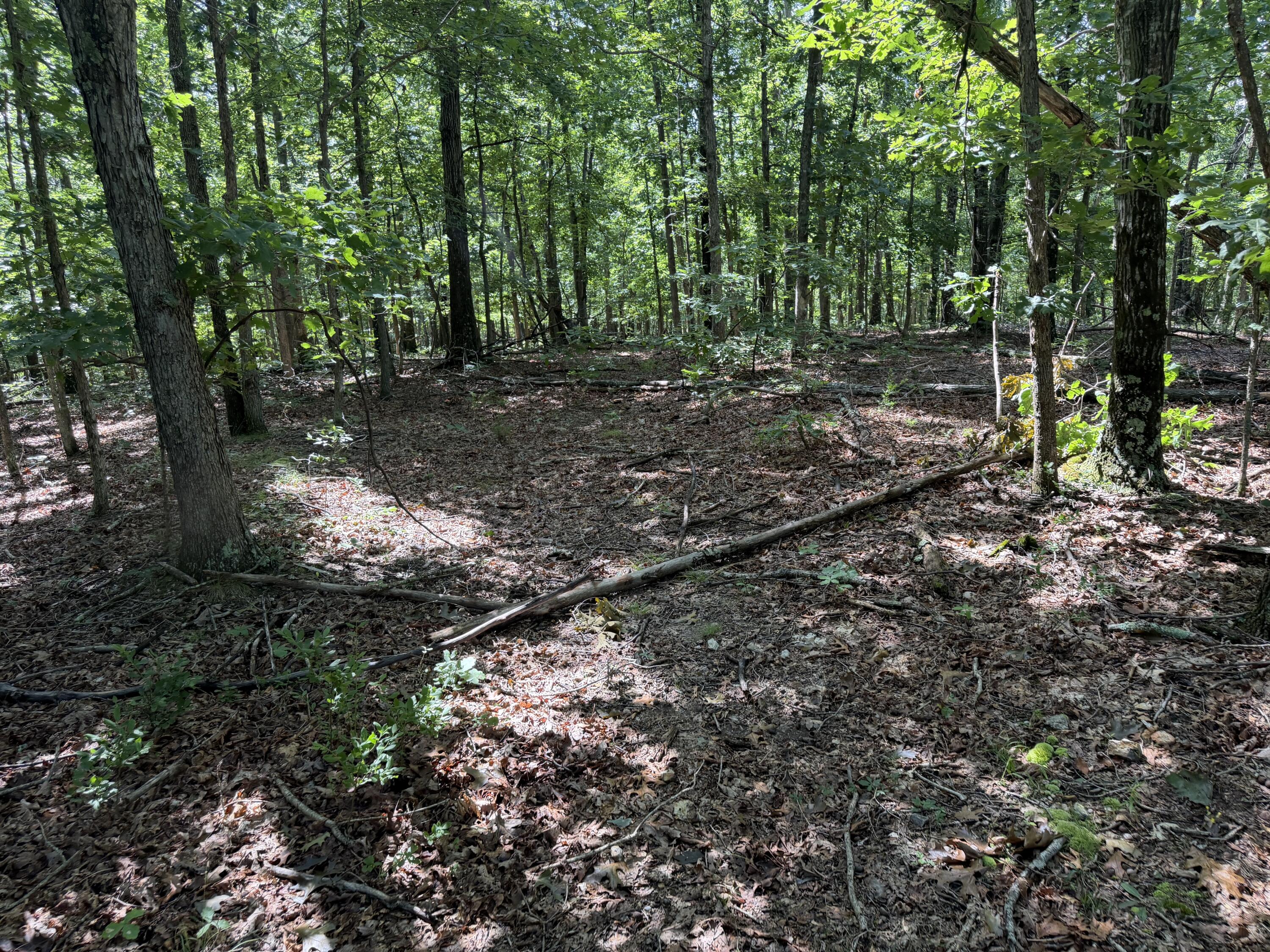 000 Golden Trail 77 Property Photo 11