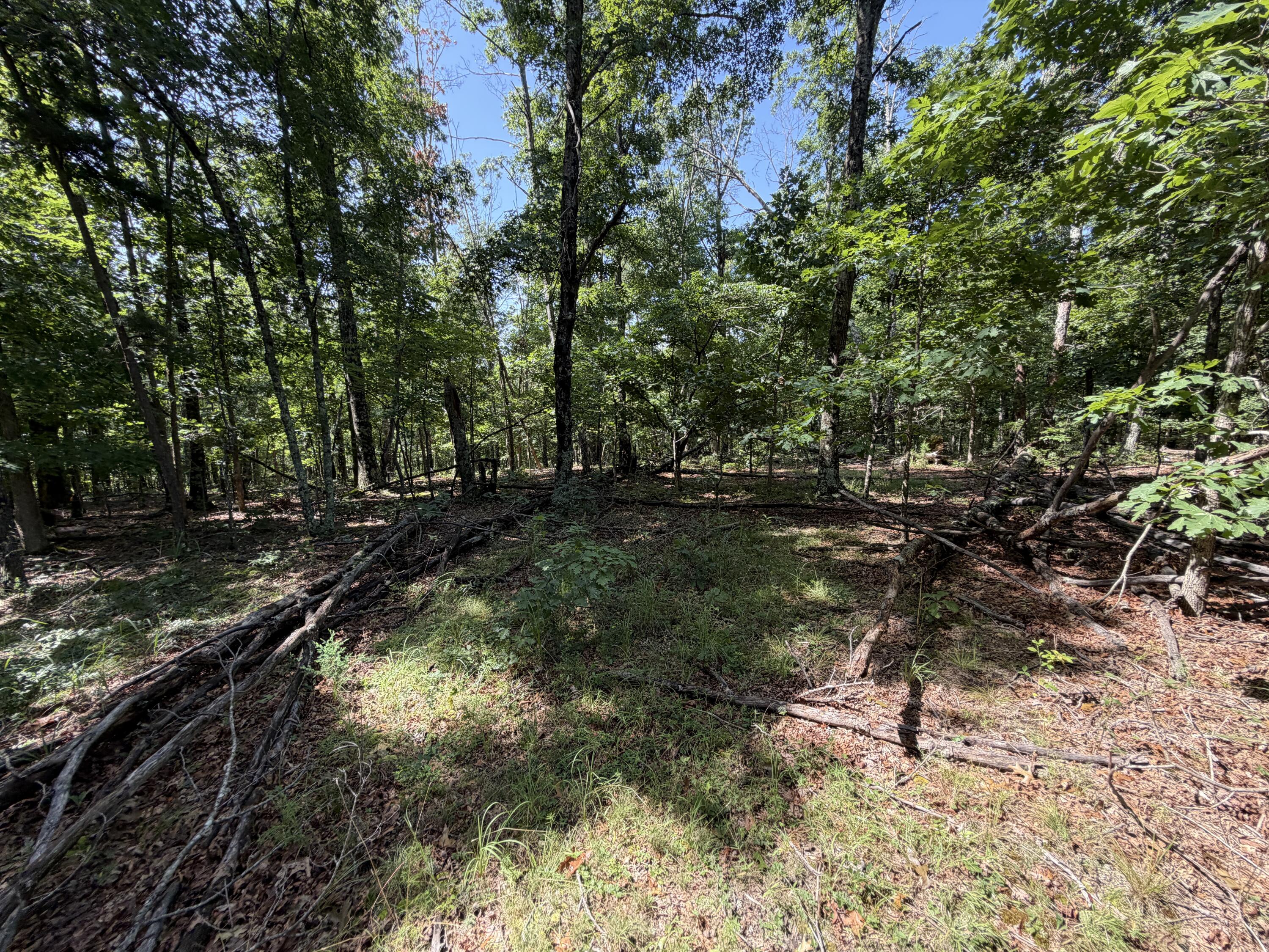 000 Golden Trail 77 Property Photo 13