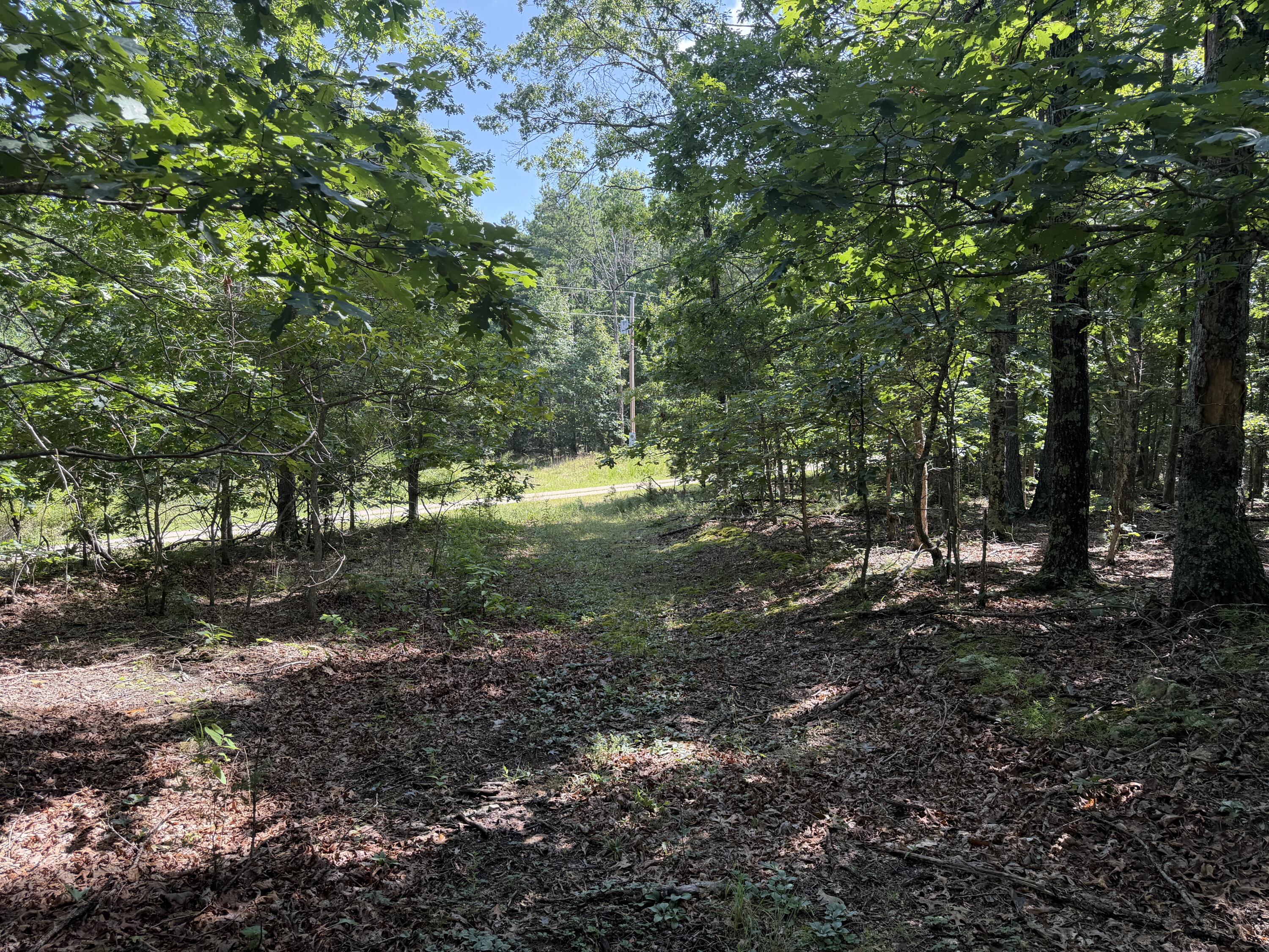 000 Golden Trail 77 Property Photo 15