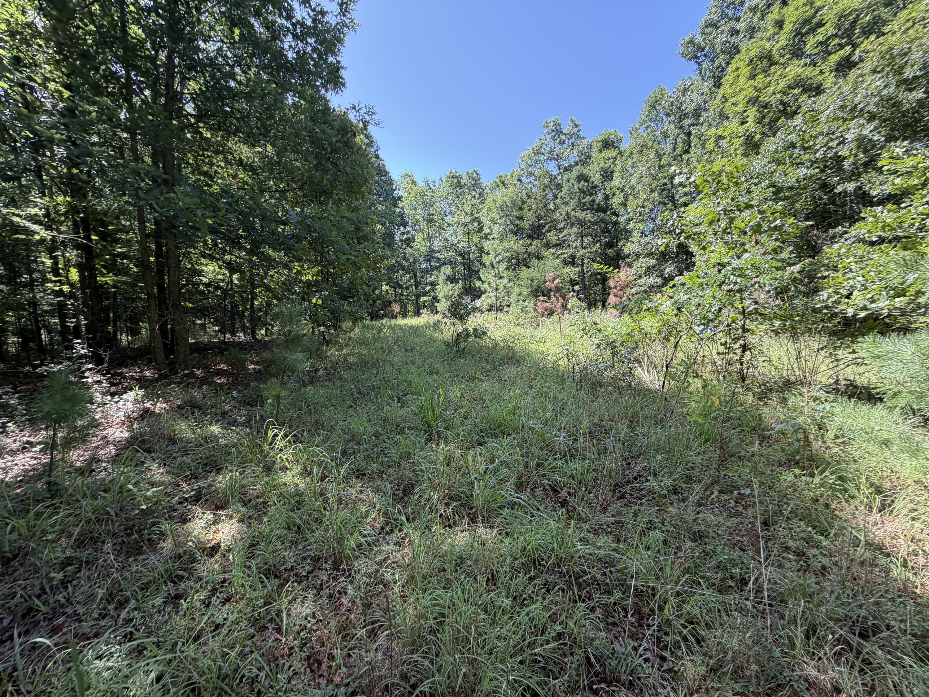 000 Golden Trail 77 Property Photo 16