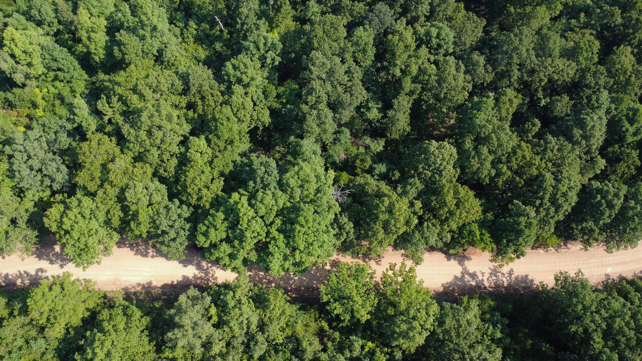 000 County Road 219 Property Photo 3