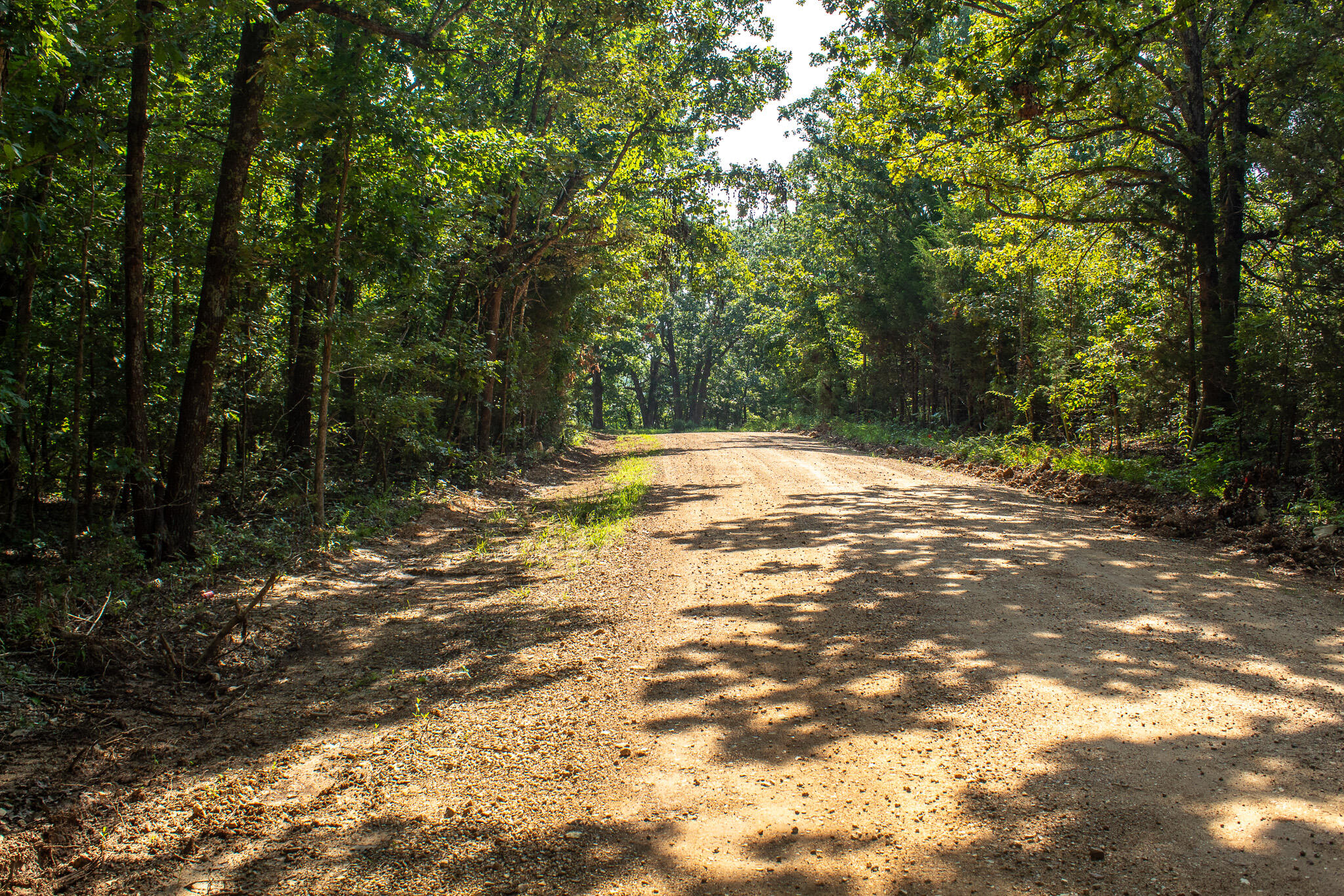 000 County Road 219 Property Photo 13