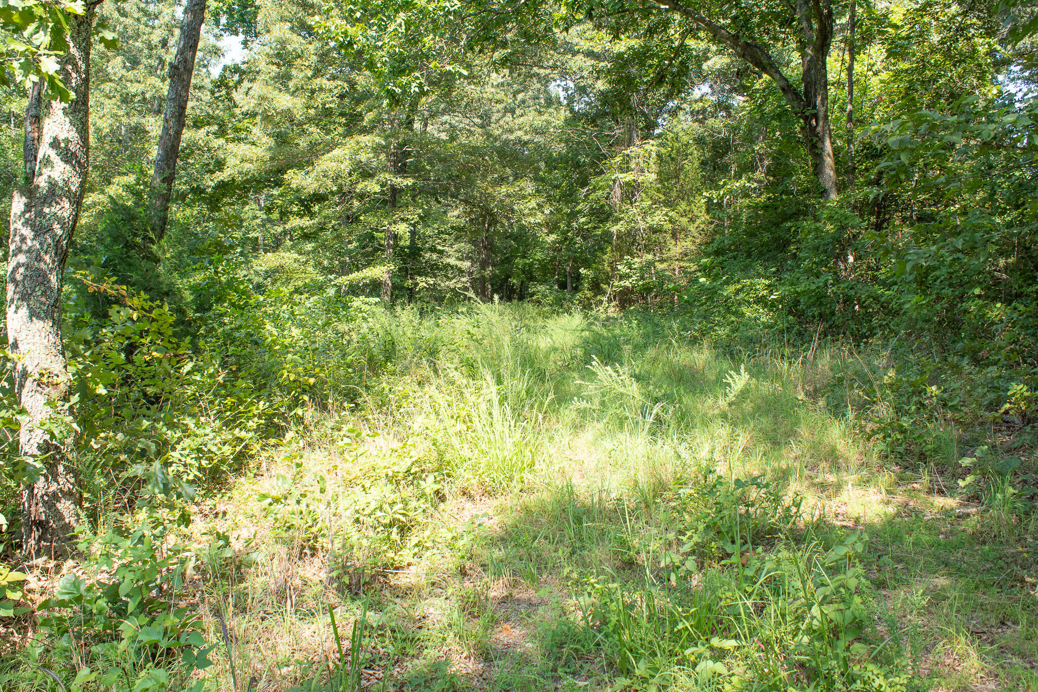 000 County Road 219 Property Photo 14