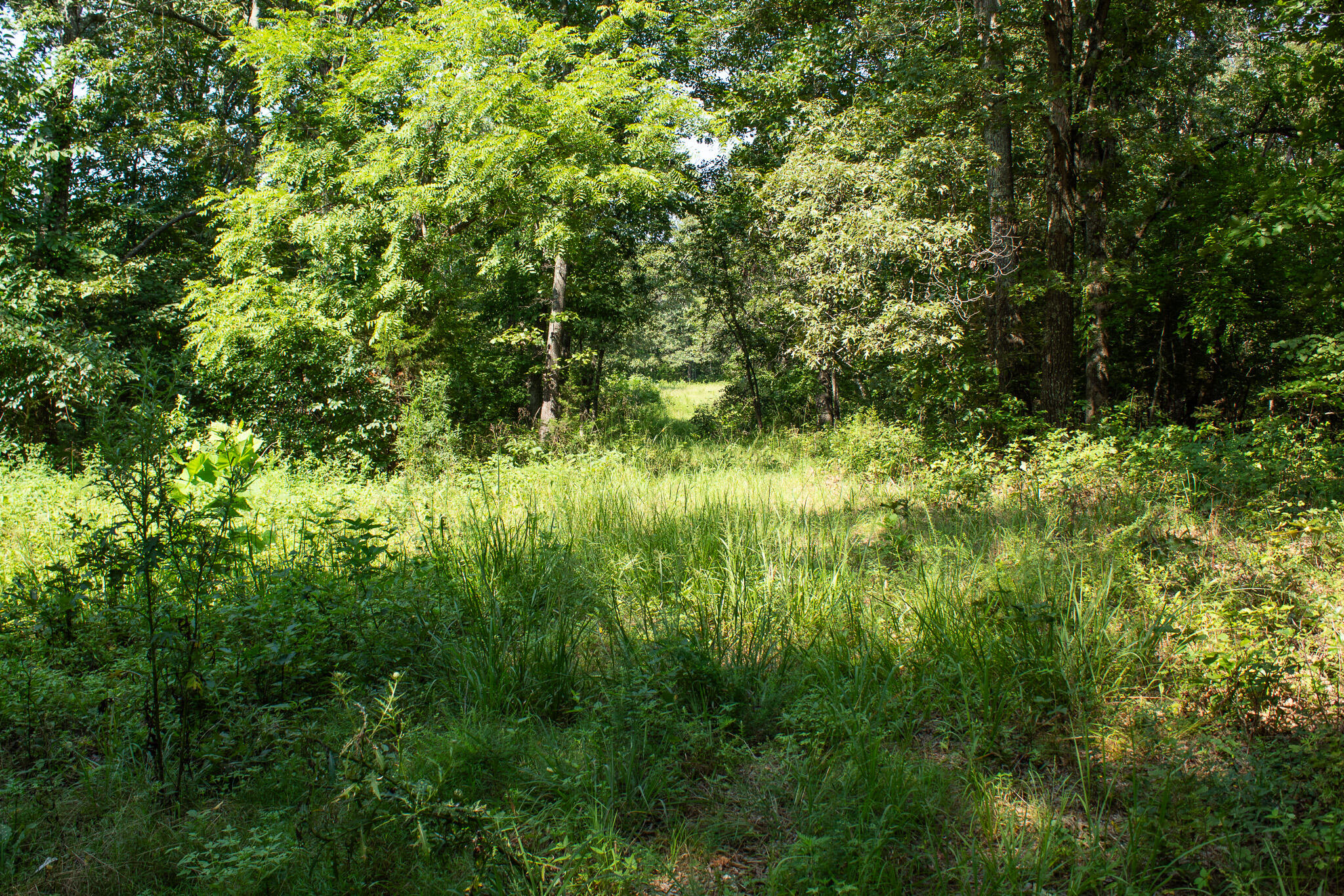 000 County Road 219 Property Photo 15