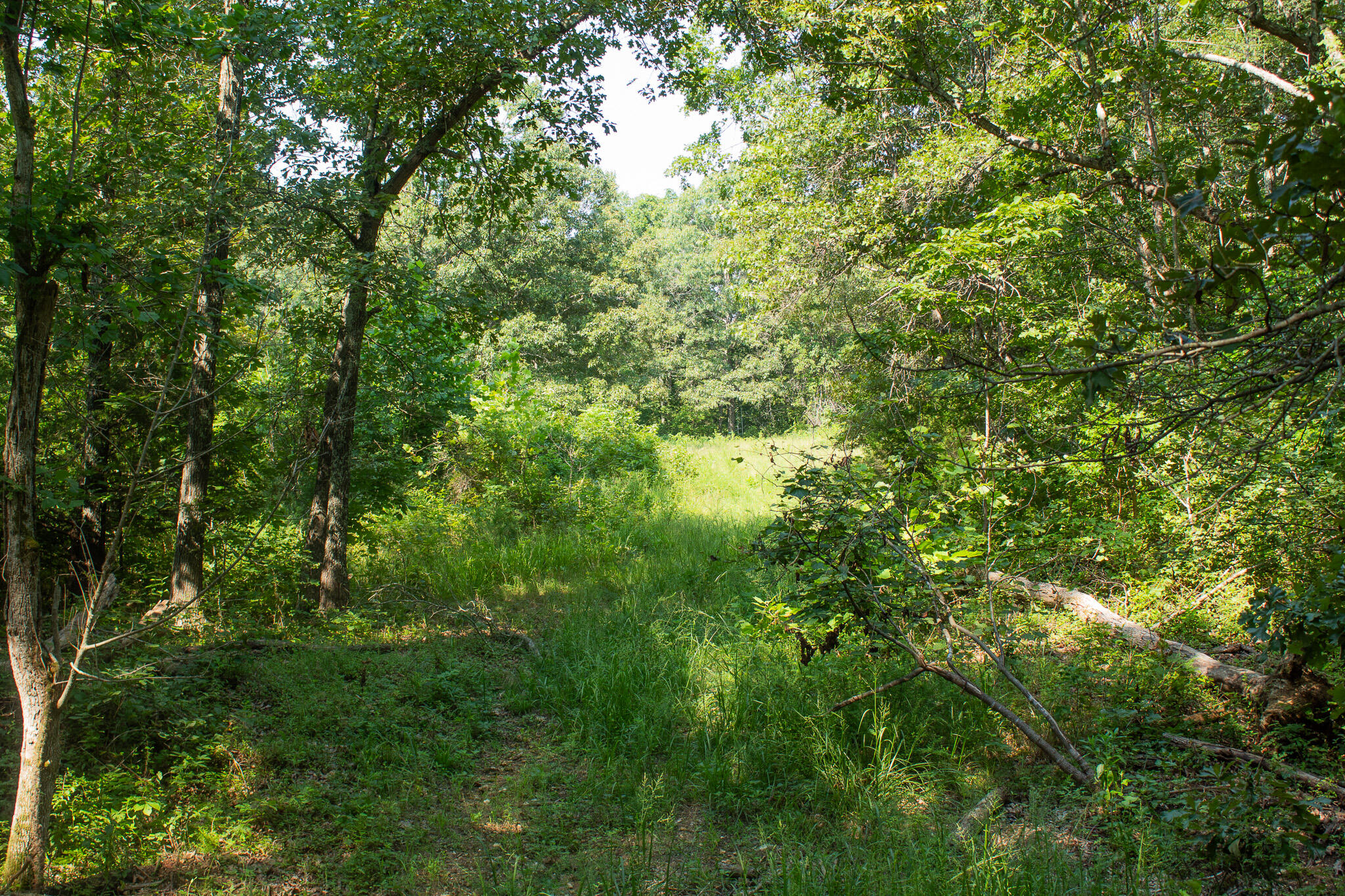 000 County Road 219 Property Photo 16
