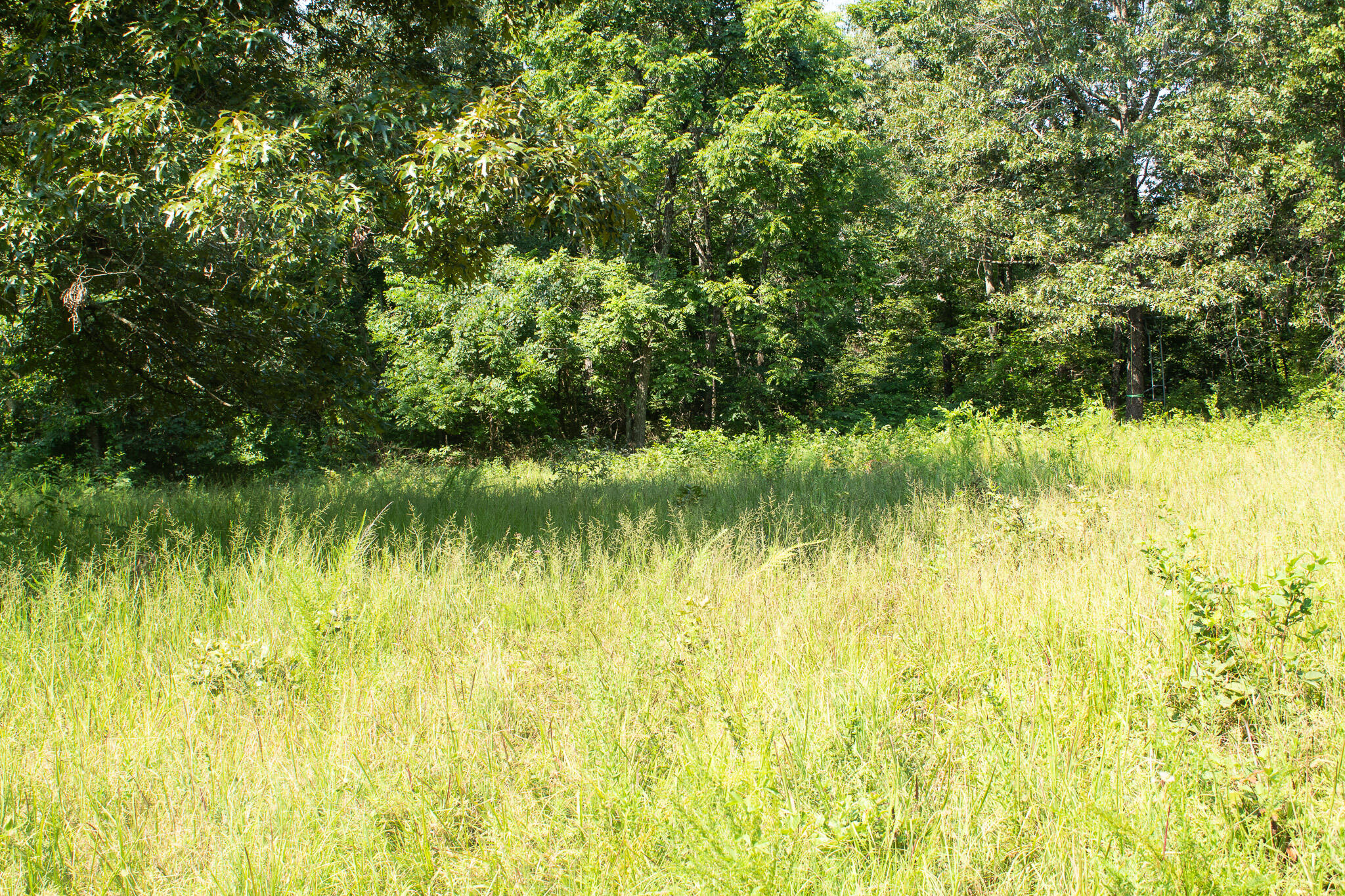 000 County Road 219 Property Photo 17