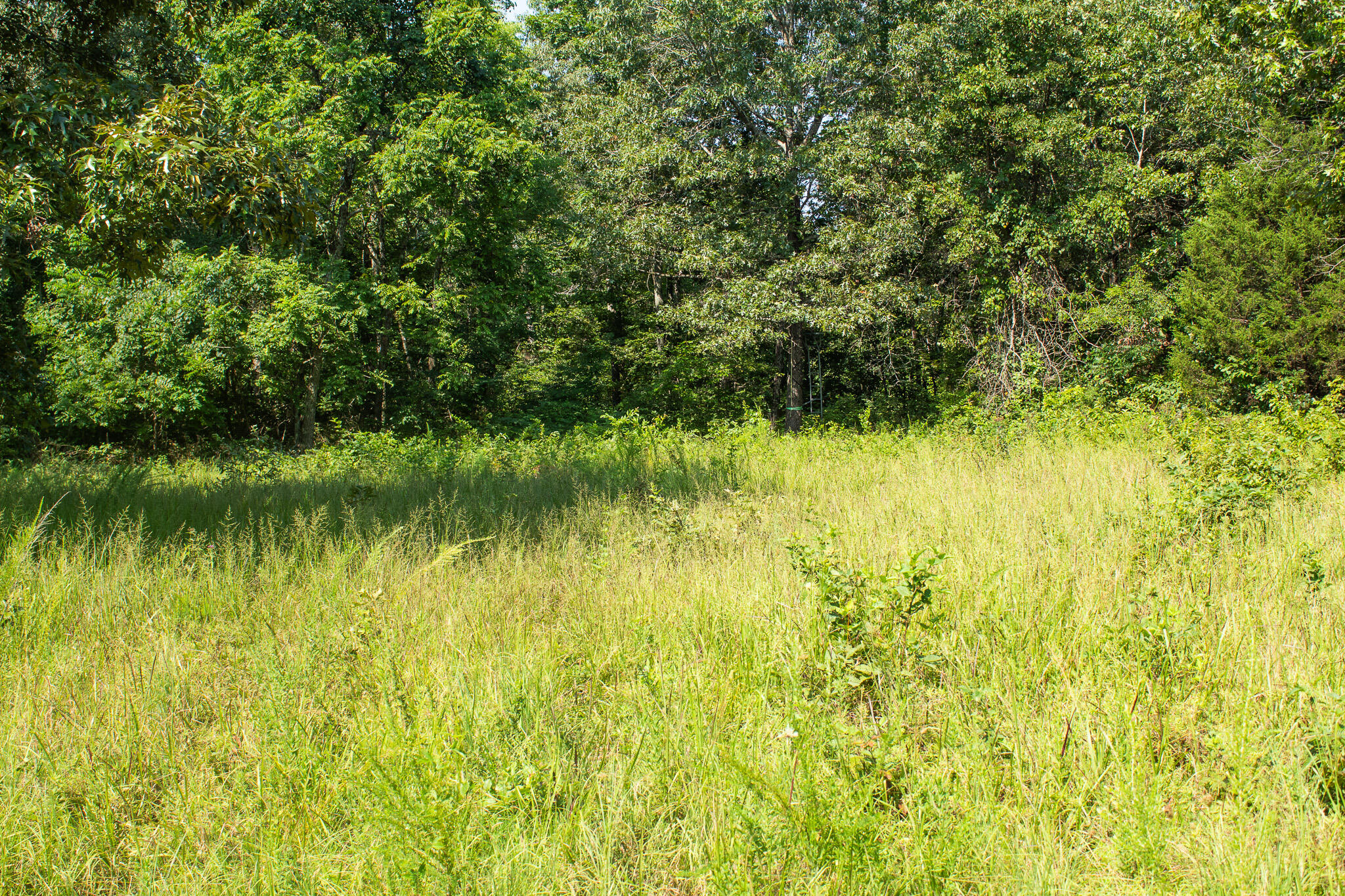 000 County Road 219 Property Photo 18