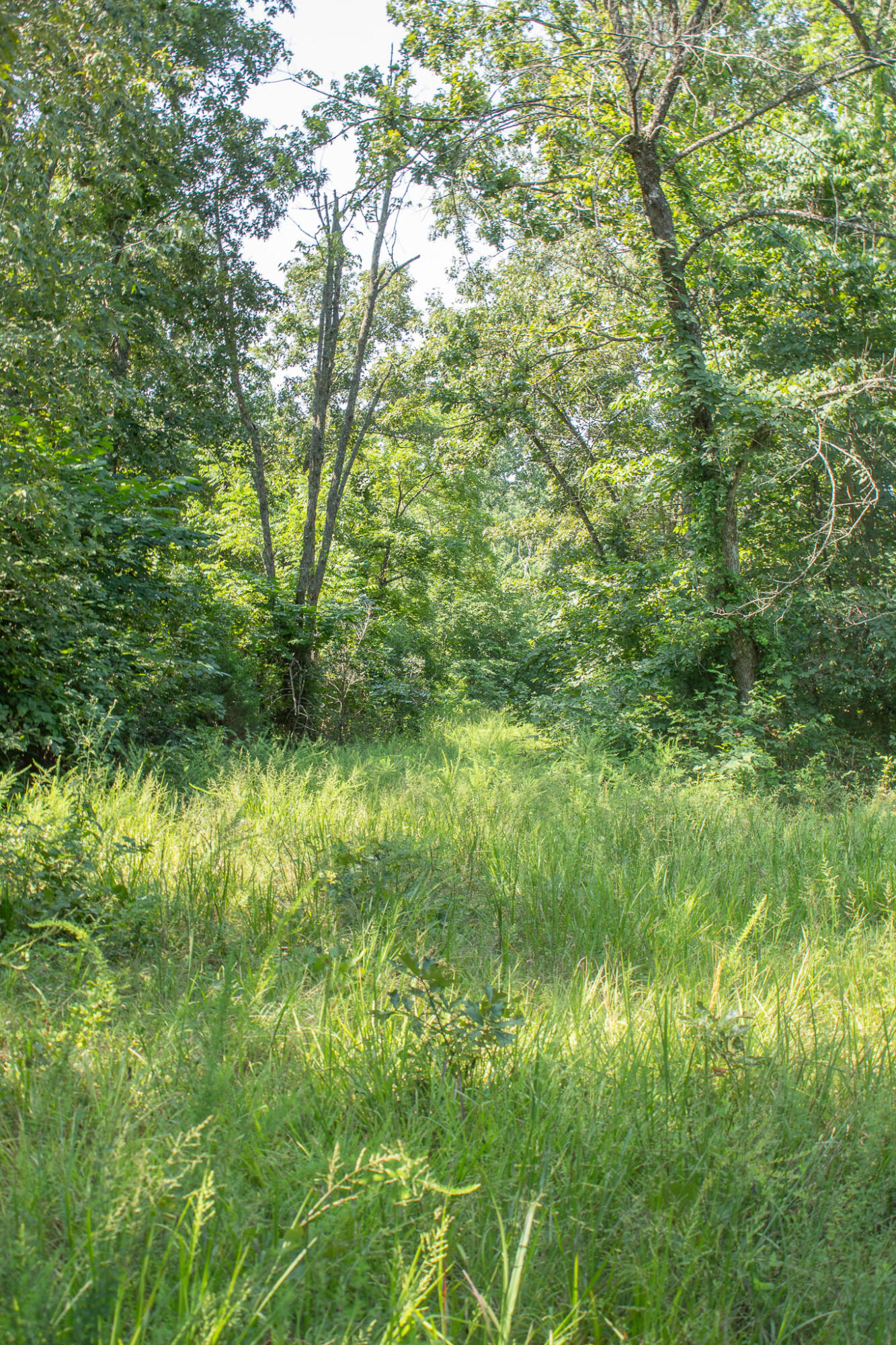 000 County Road 219 Property Photo 19
