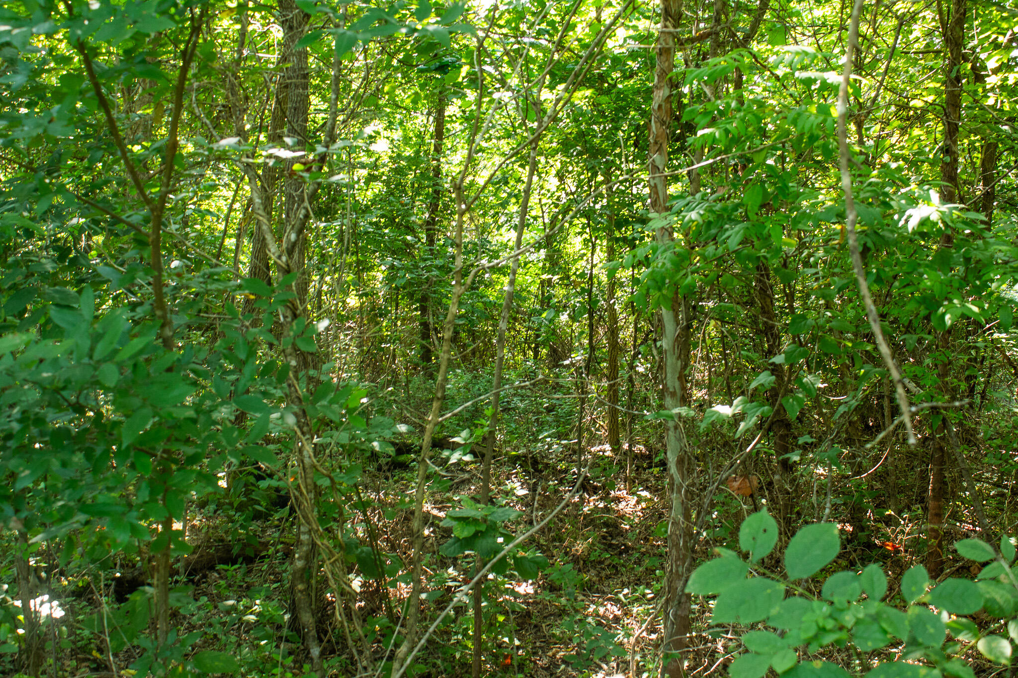000 County Road 219 Property Photo 20