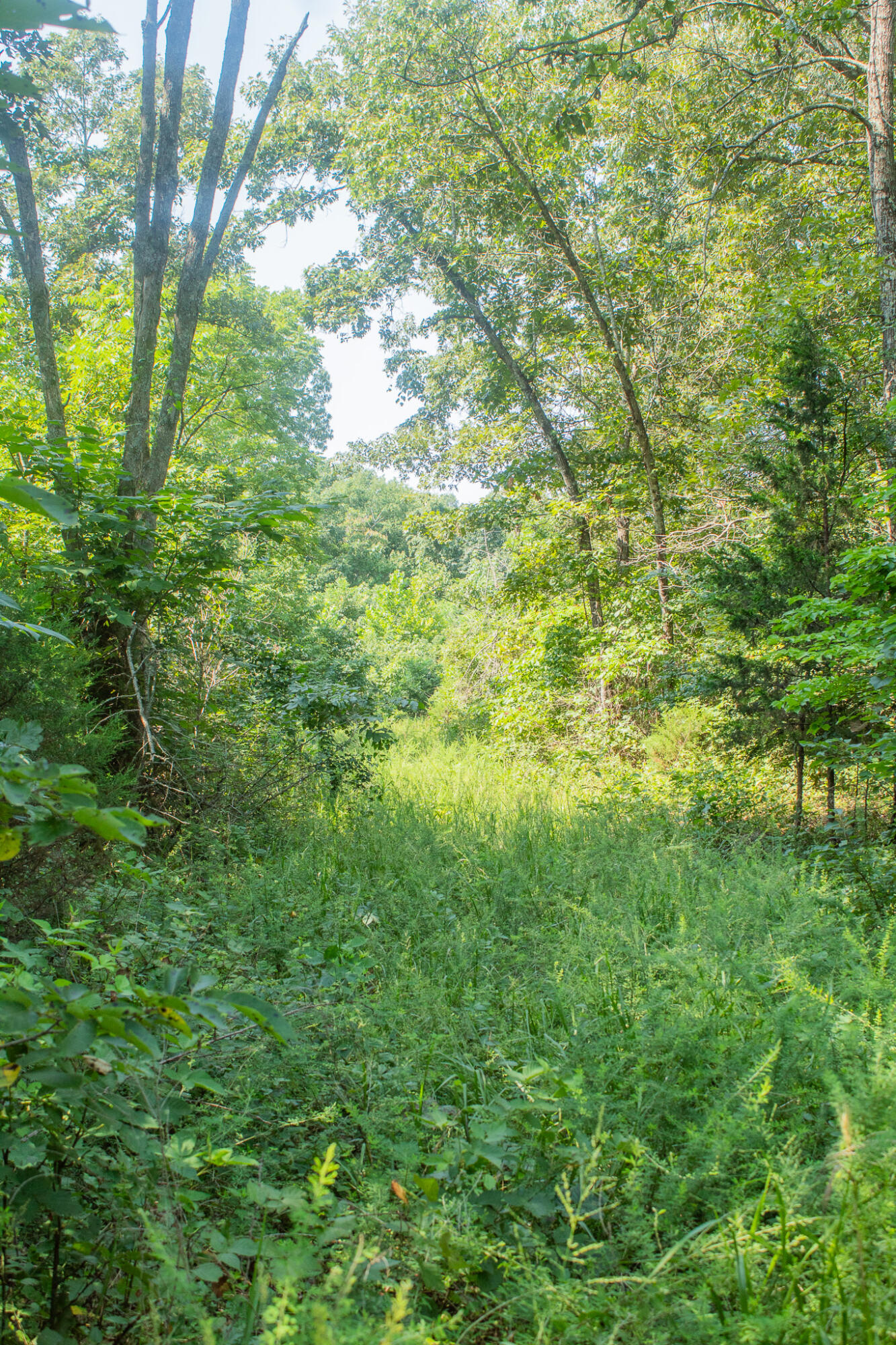 000 County Road 219 Property Photo 21