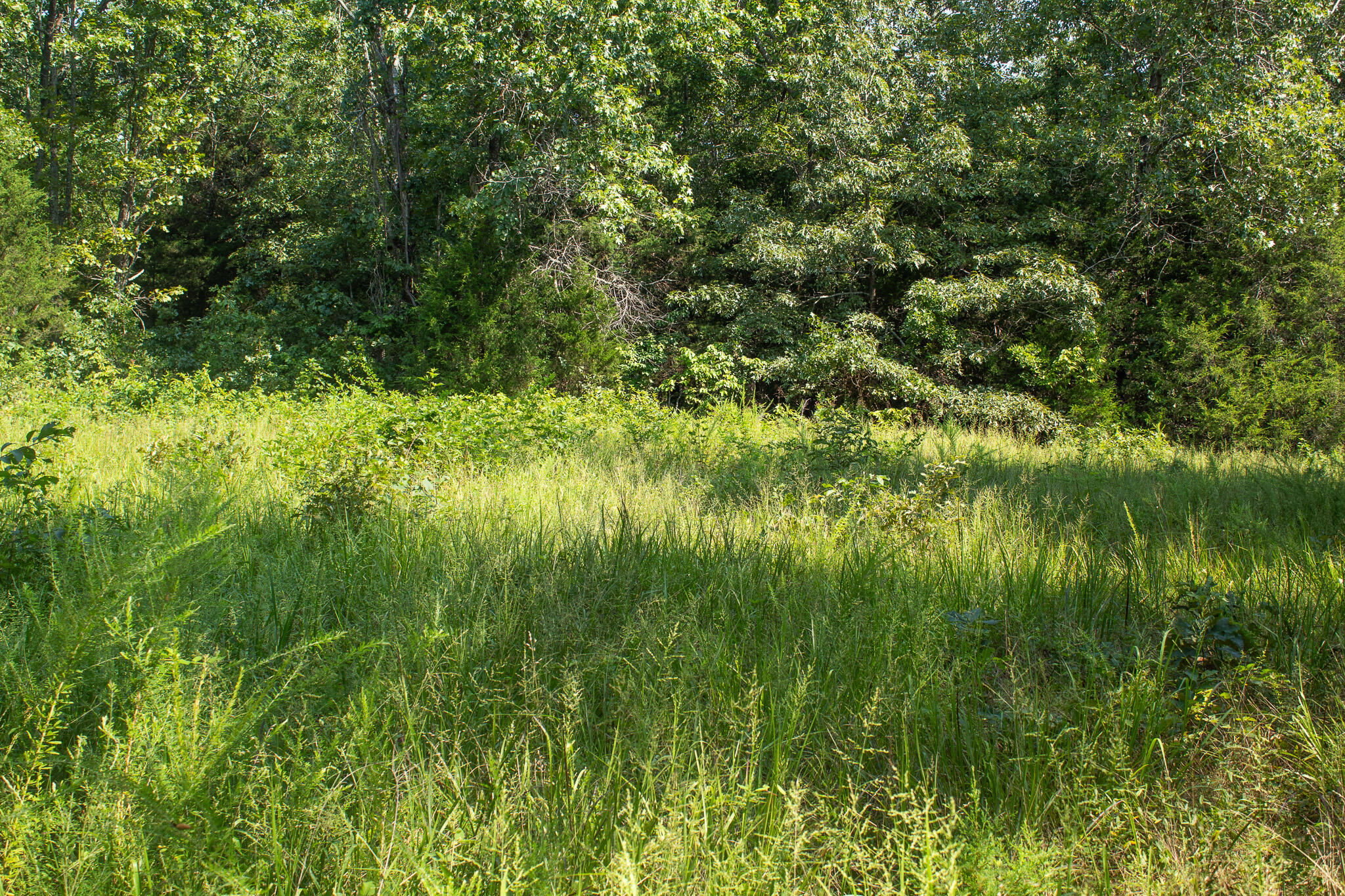 000 County Road 219 Property Photo 22