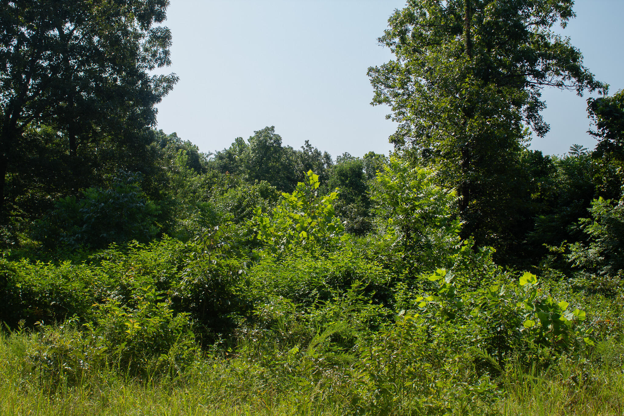 000 County Road 219 Property Photo 25