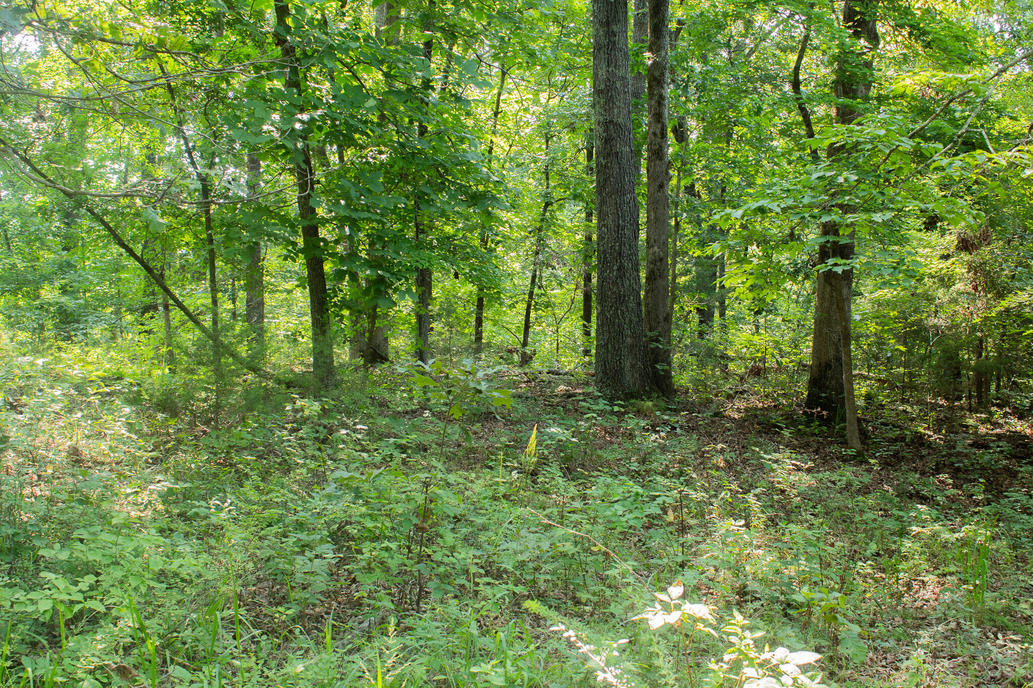 000 County Road 219 Property Photo 28