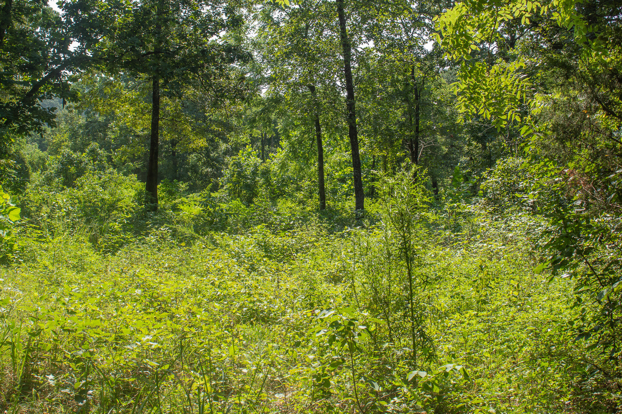 000 County Road 219 Property Photo 29