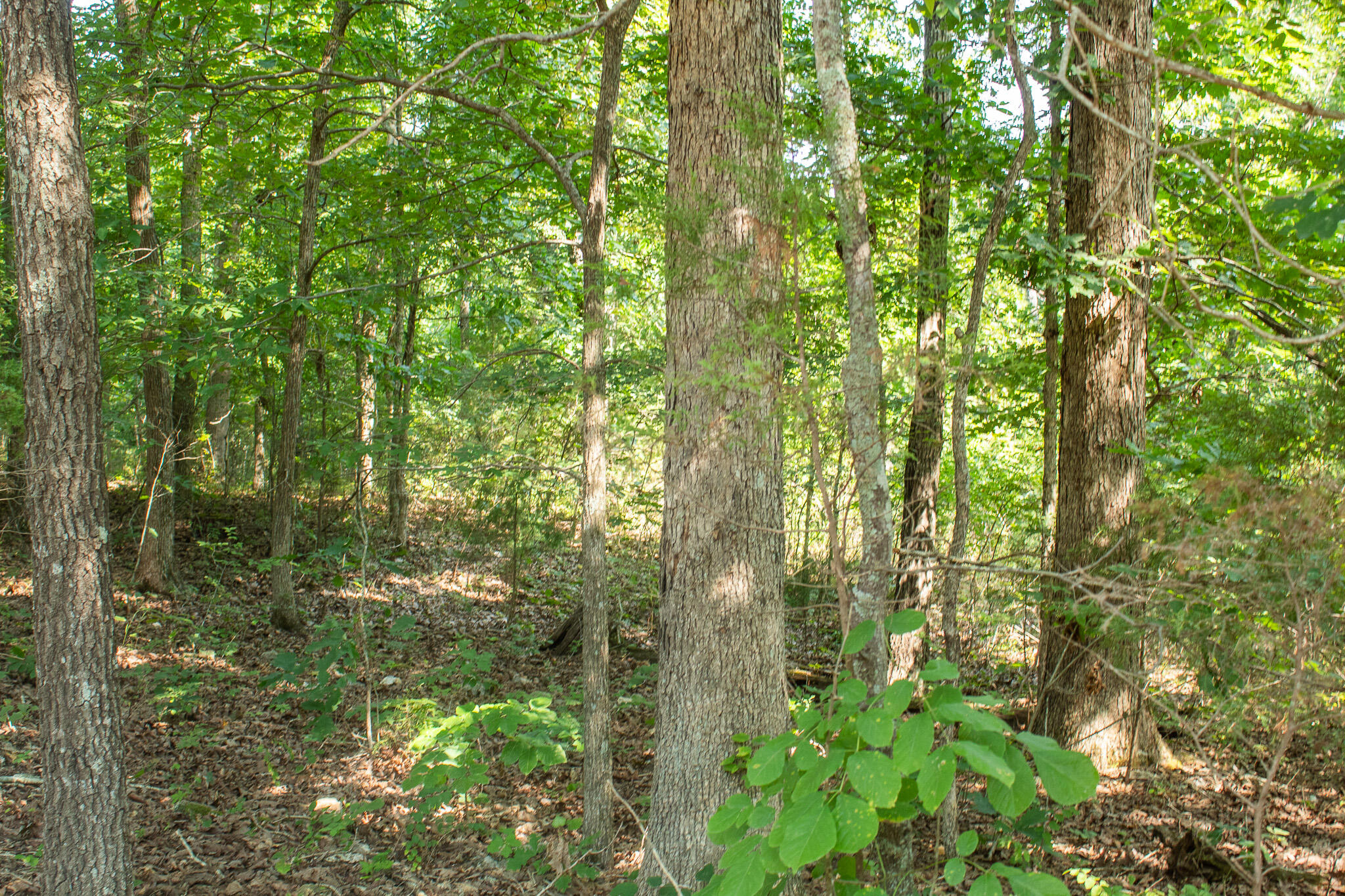 000 County Road 219 Property Photo 33