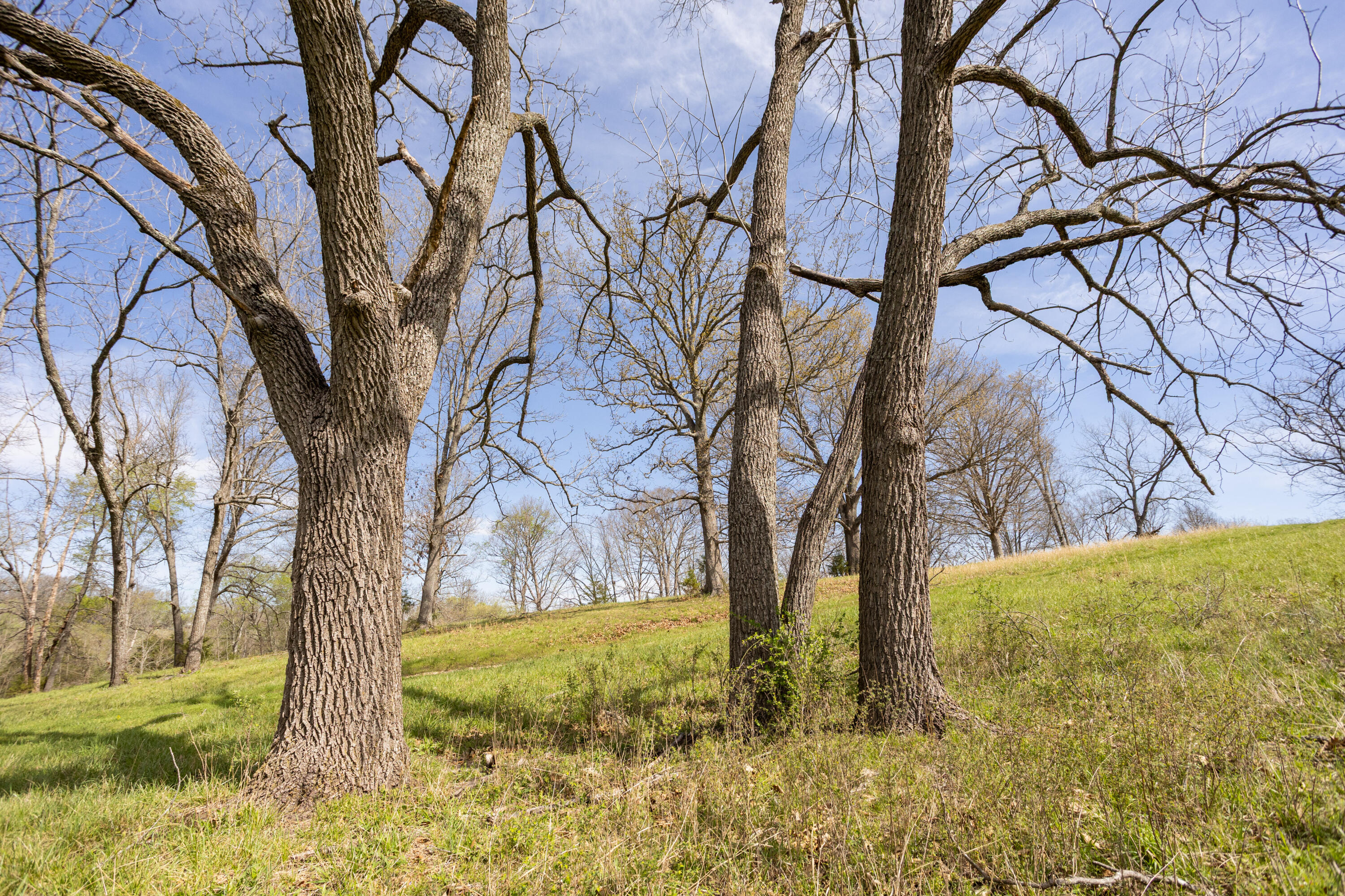 9795 Co Rd W 76-506 Road Property Photo 79