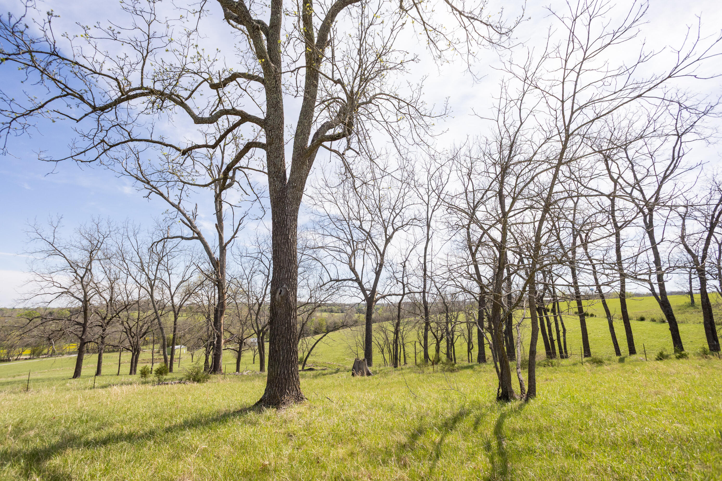 9795 Co Rd W 76-506 Road Property Photo 90